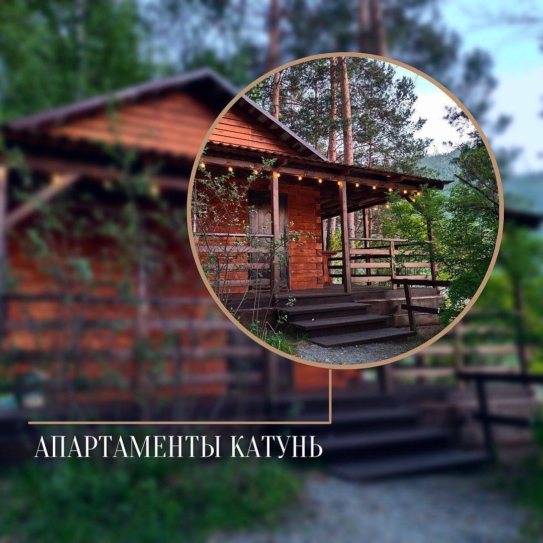 Фото Алтай берег