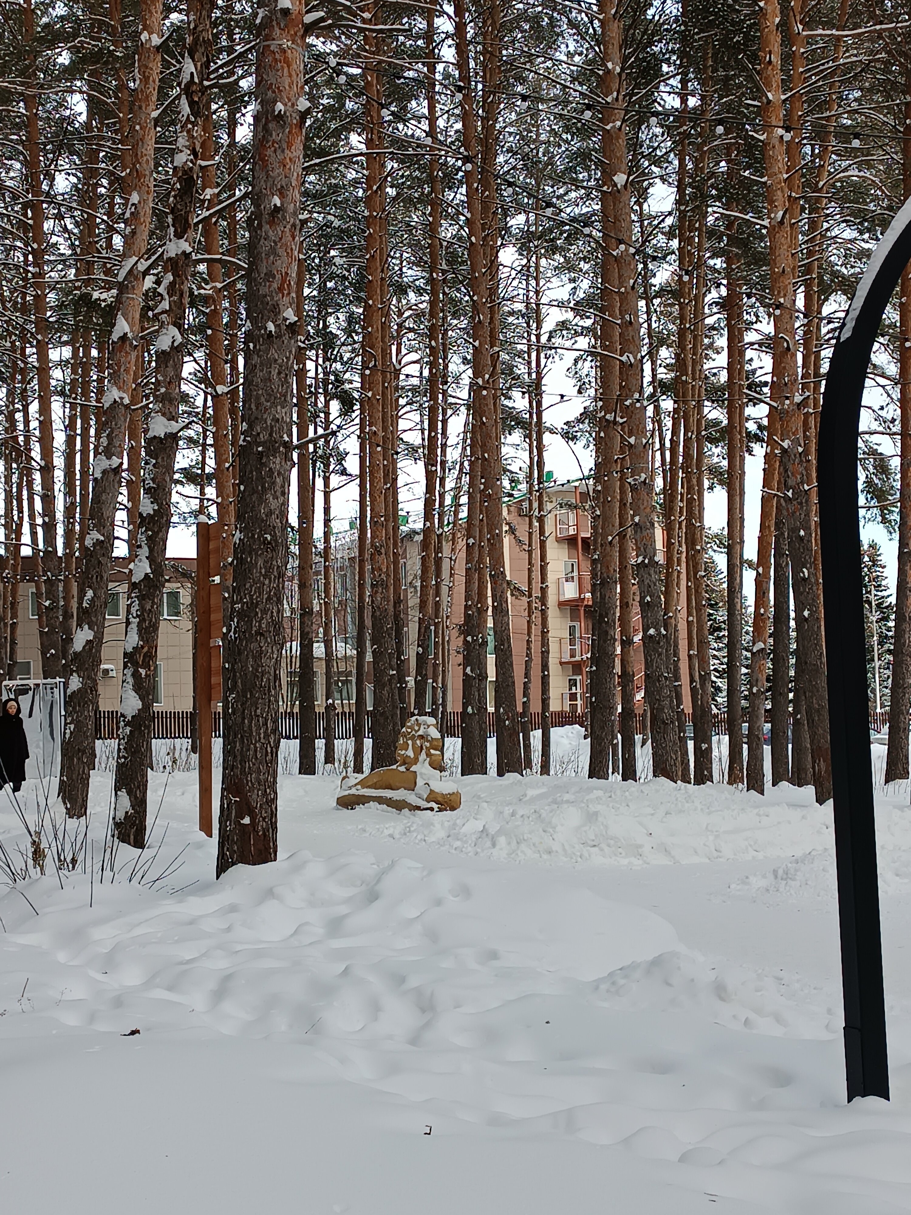 Фото Радуга