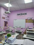 Лисёнок (Il'icha Avenue, 23), children's developmental center