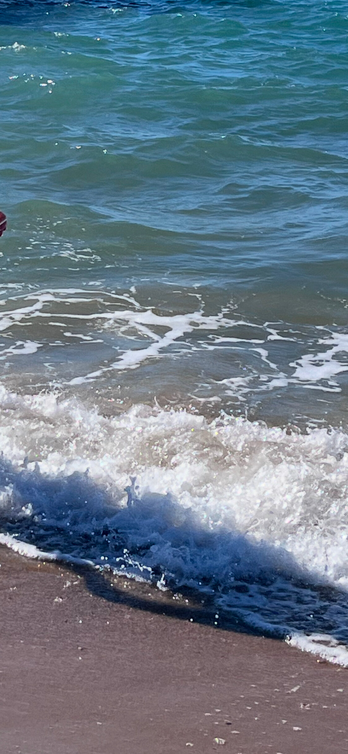 Фото Вилла Роз