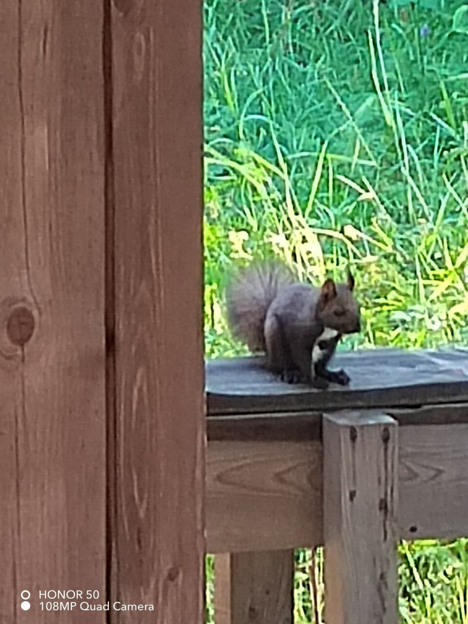 Фото Семейный