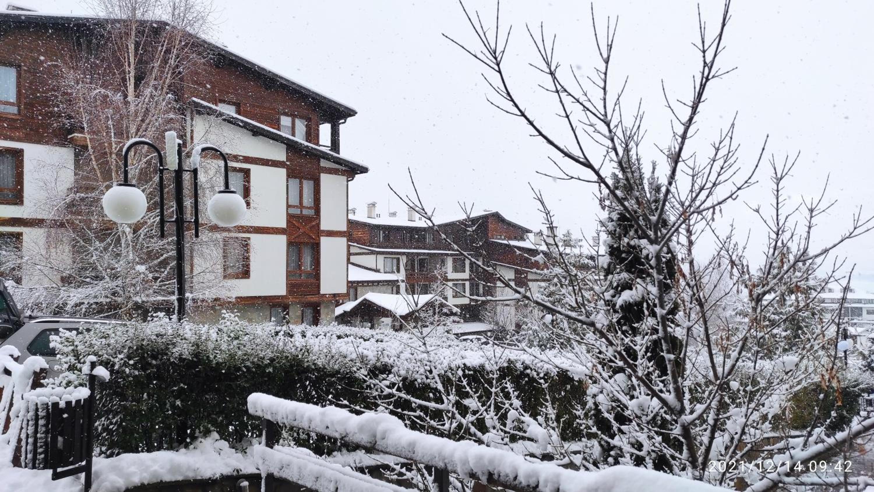 Фото Green Life Bansko