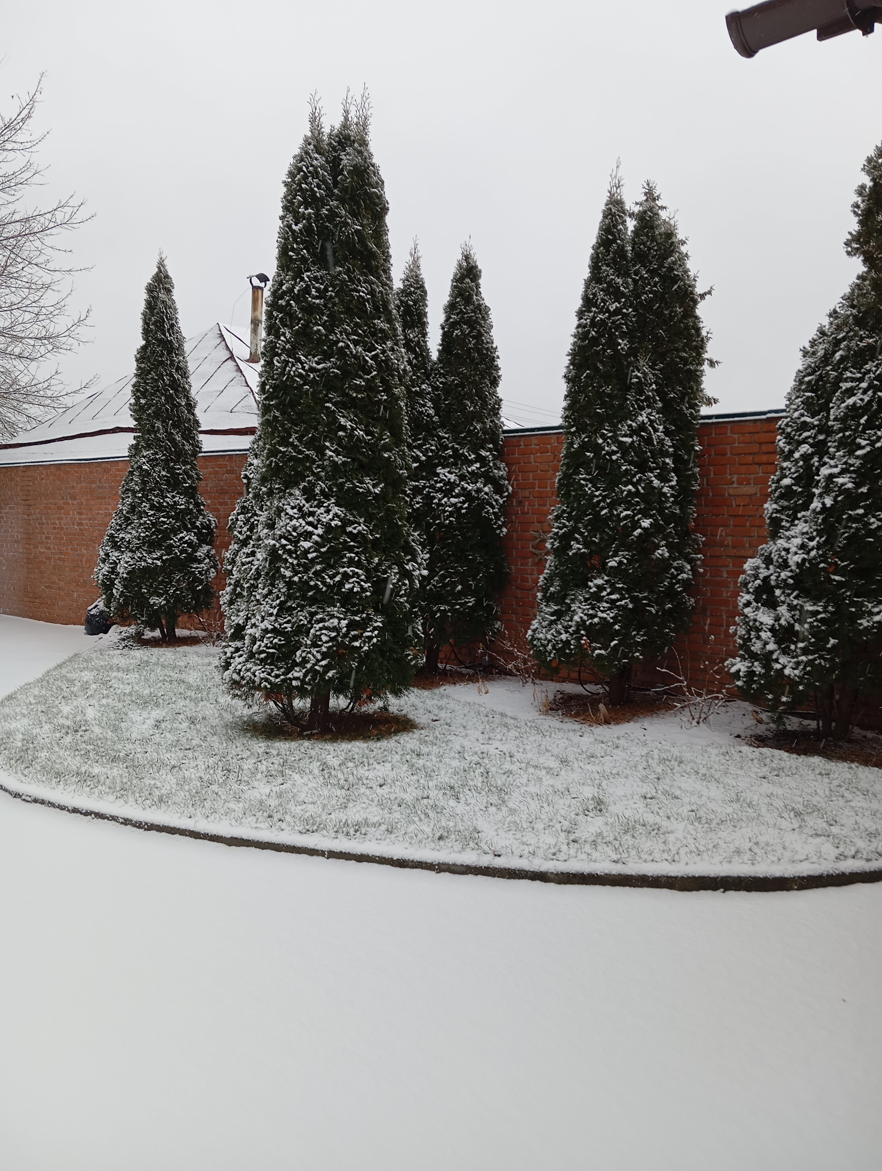 Фото Серебряный век