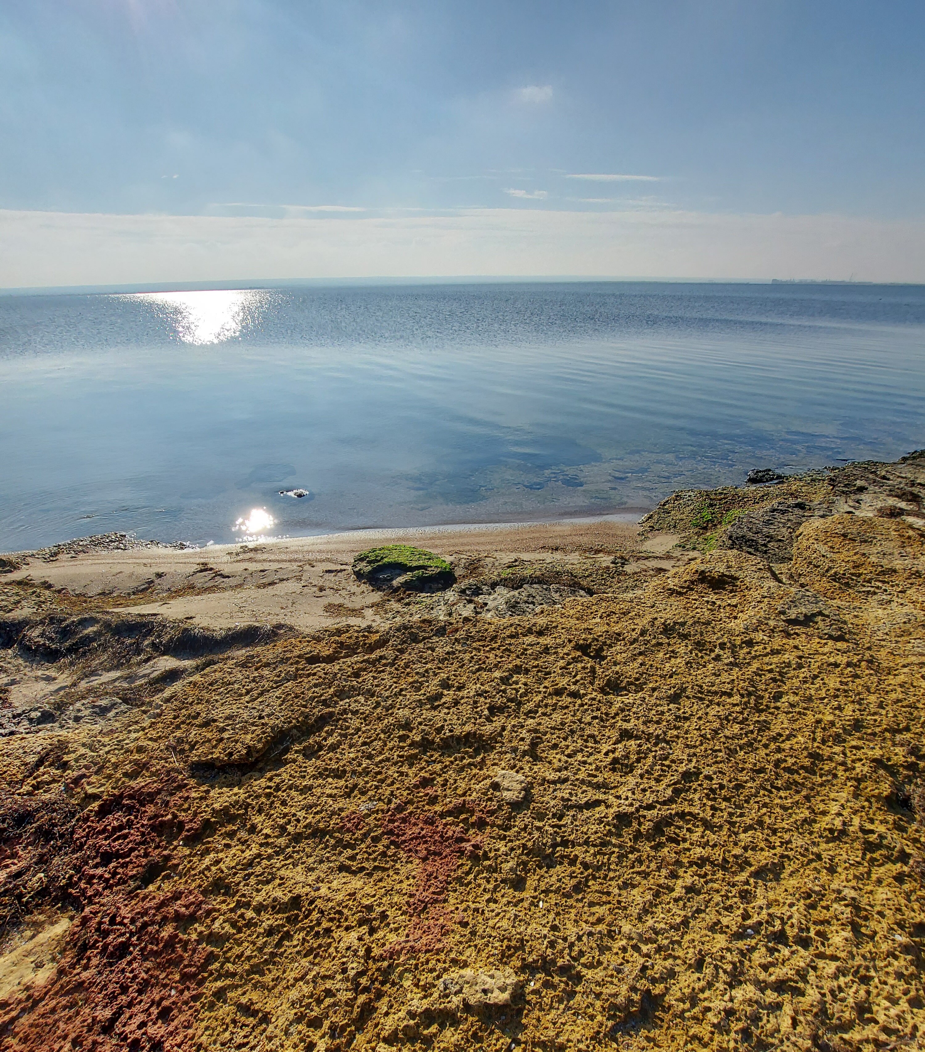 Фото Роза ветров