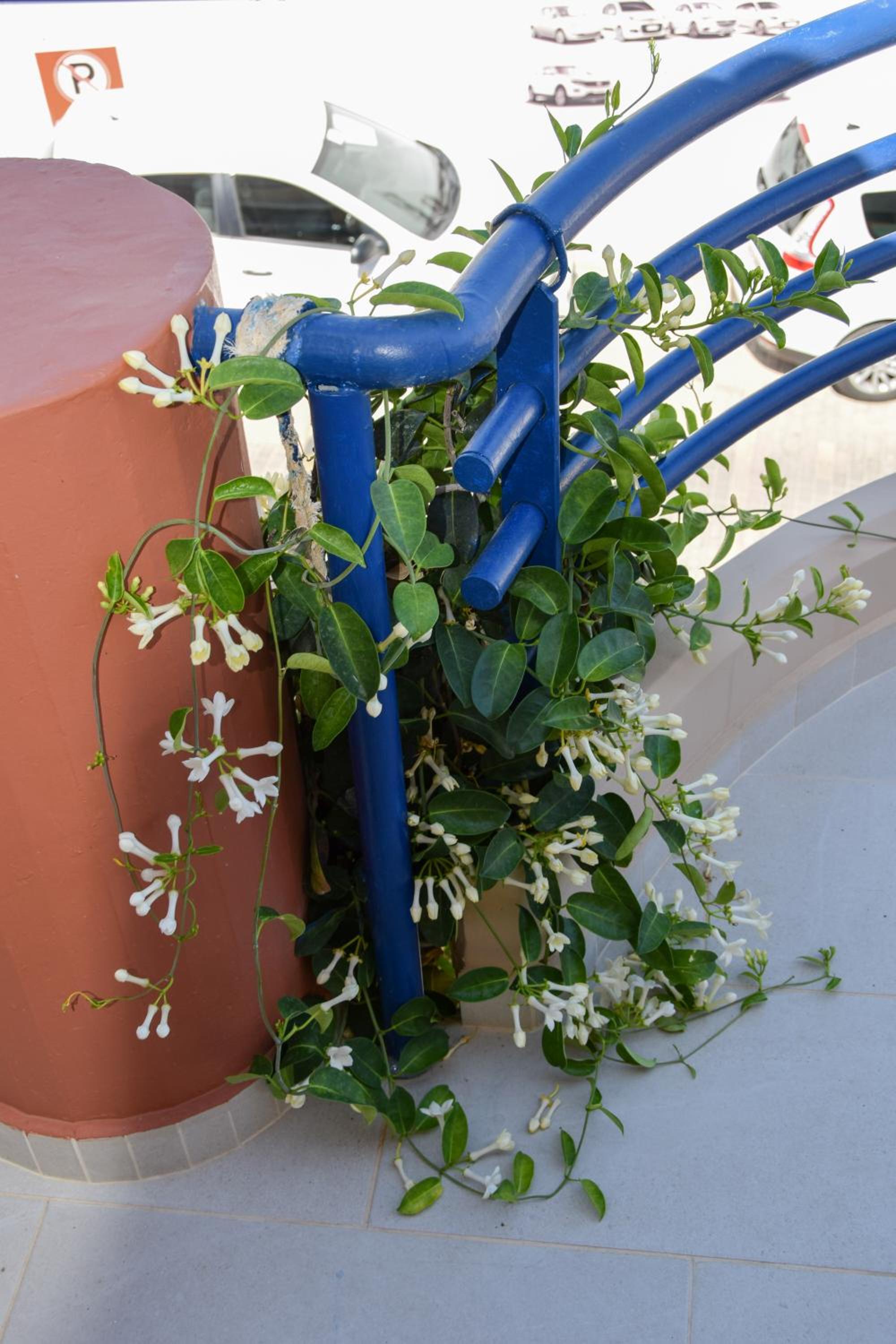 Фото Andy's Plaza