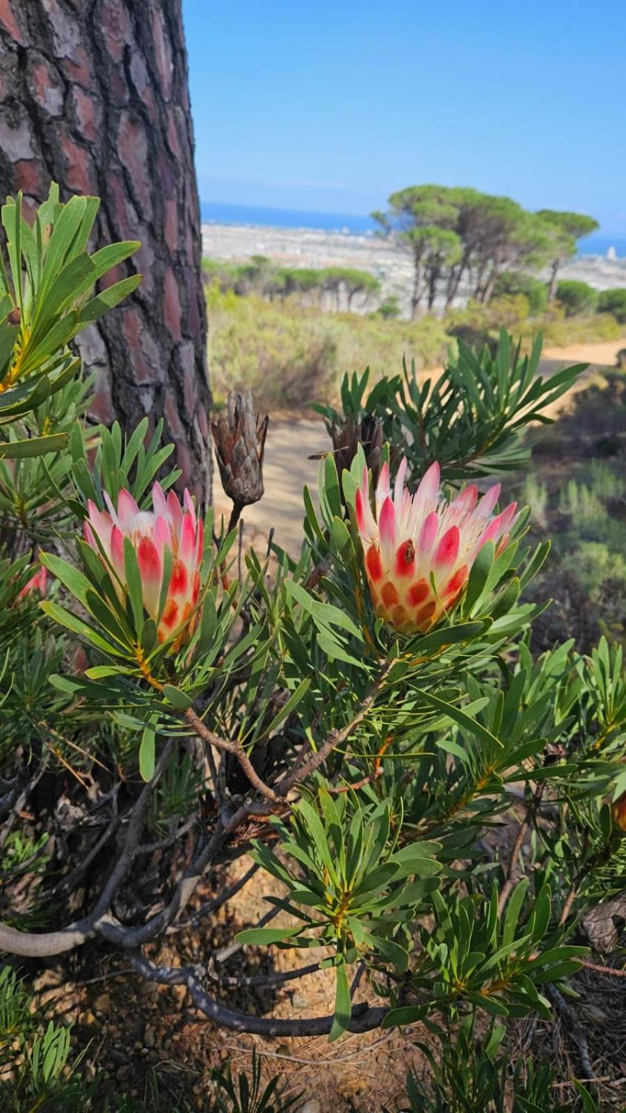 Фото Vrede Self Catering