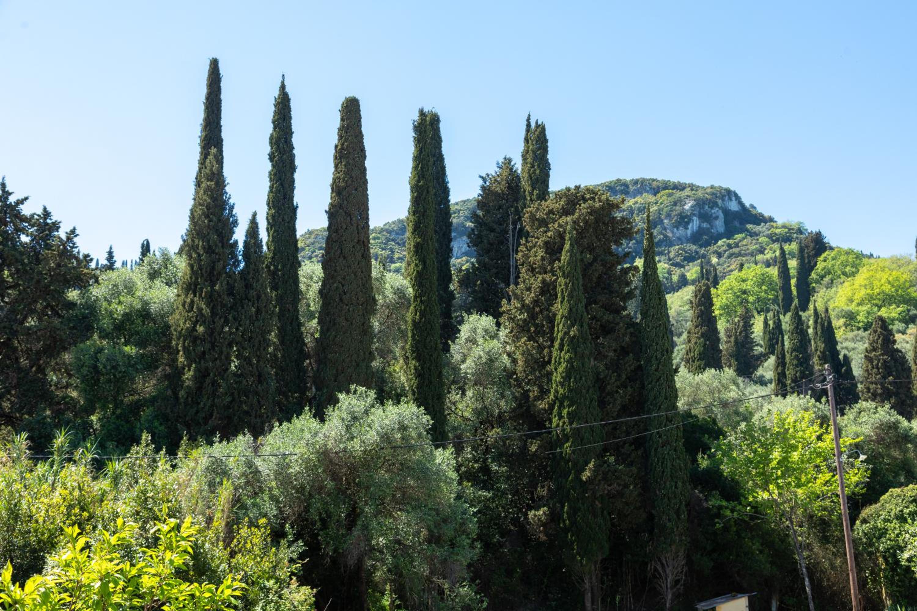 Фото Bella Vista Beach Hotel and Studios