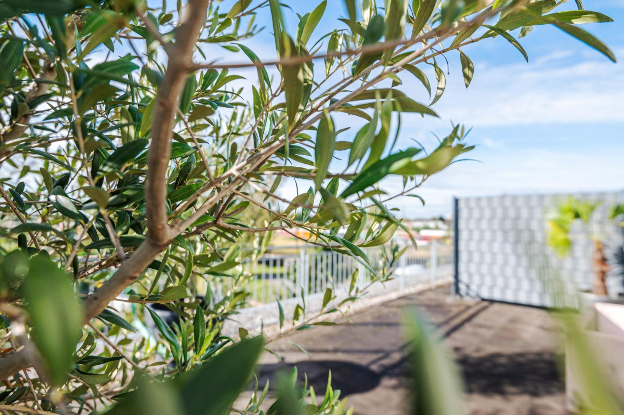 Фото PhiLeRo Hotel Köln