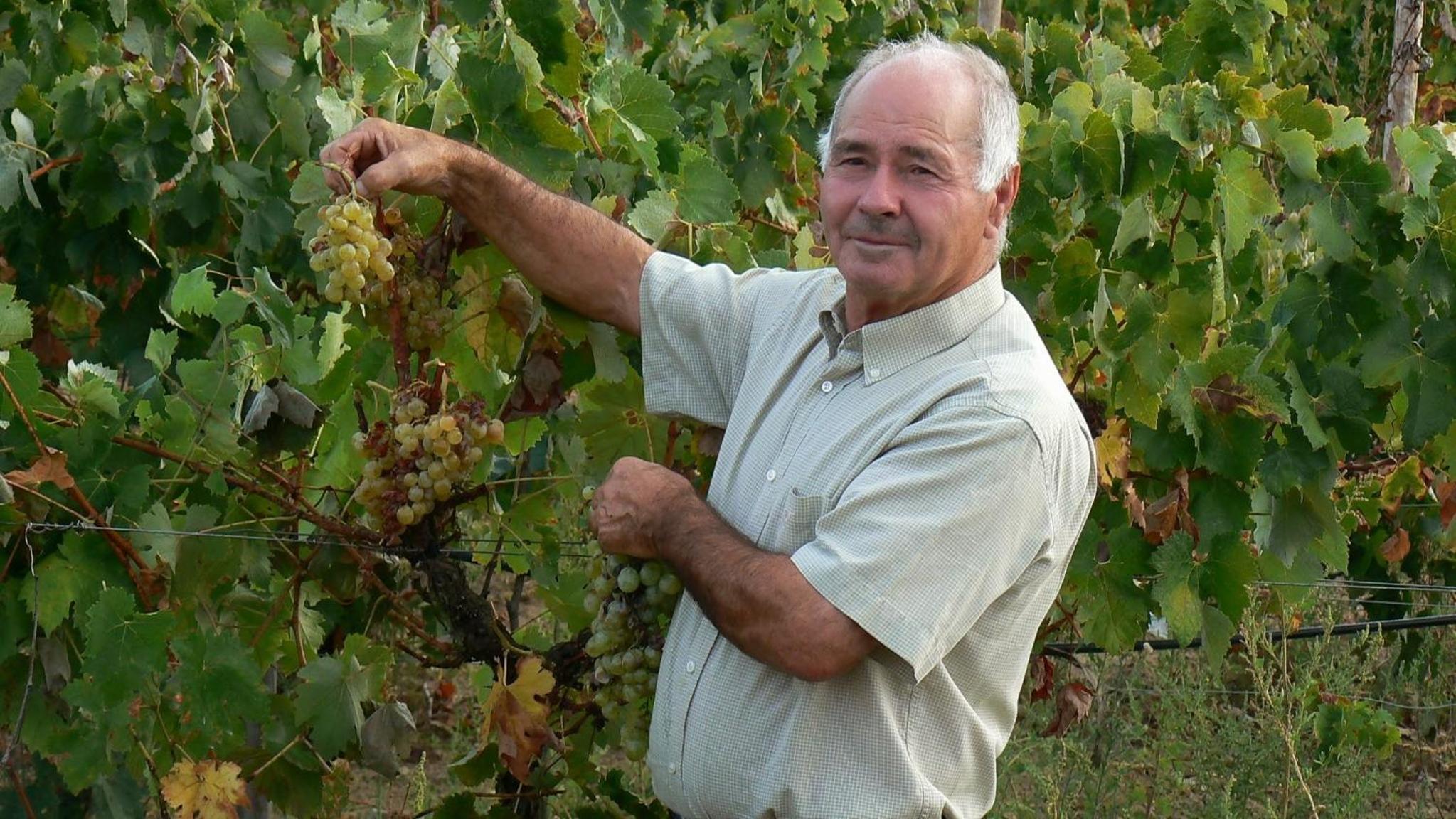 Фото Graça Hotel