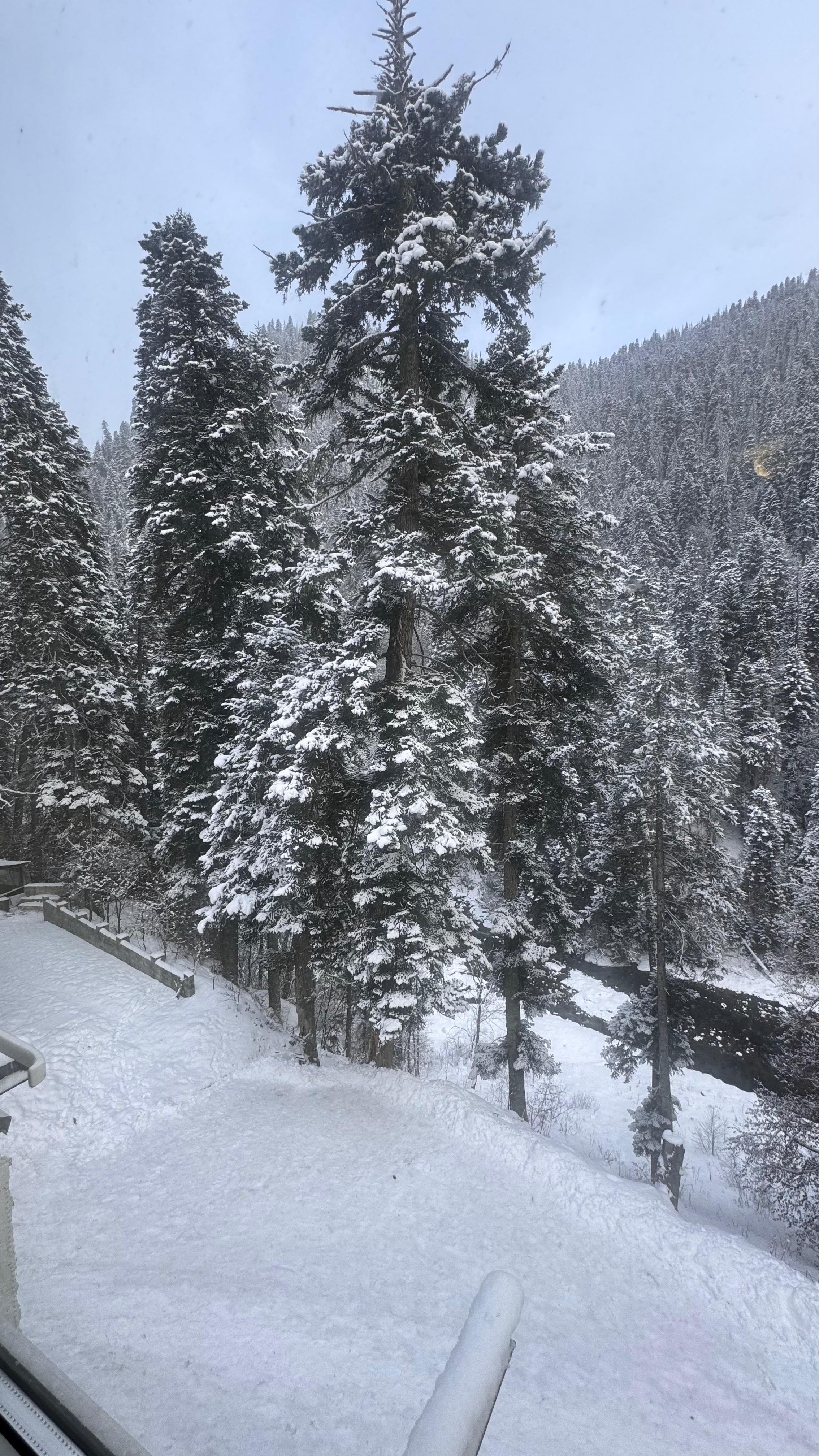 Фото АльпенХауз