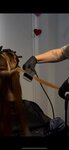 Keratin Bar (Ligovskiy Avenue, 50литО), salón de belleza