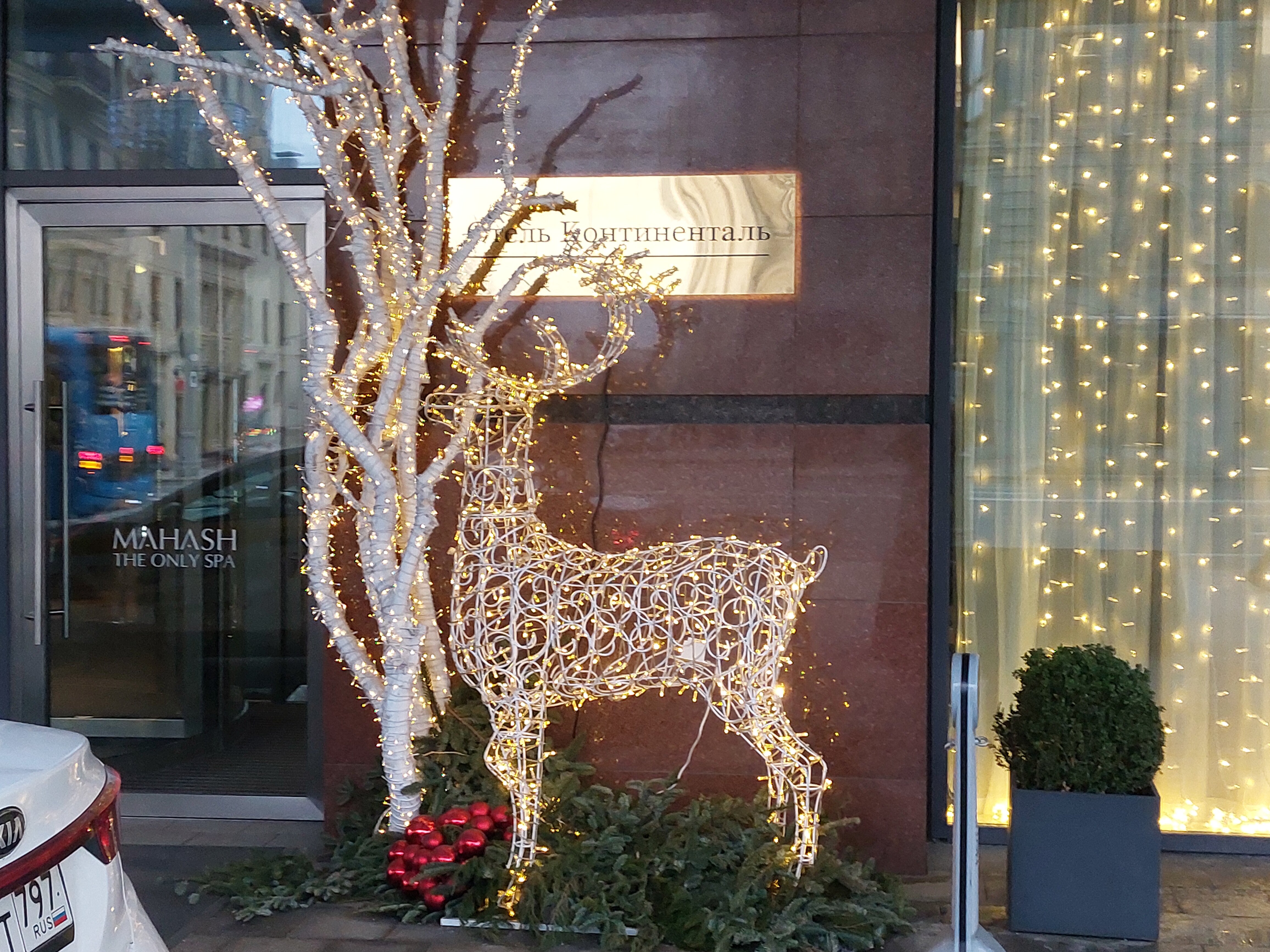 Фото Hotel Continental