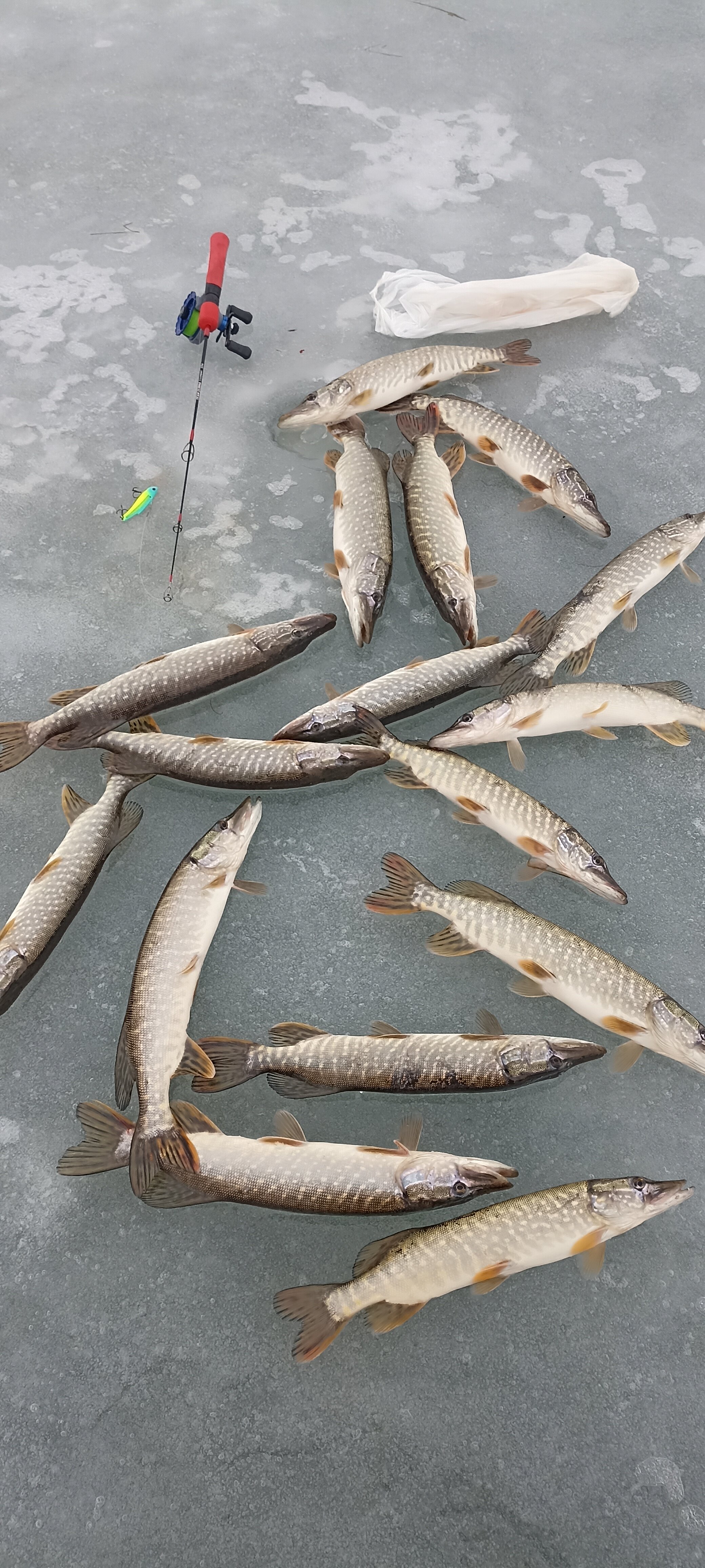 Фото Фишфарм116