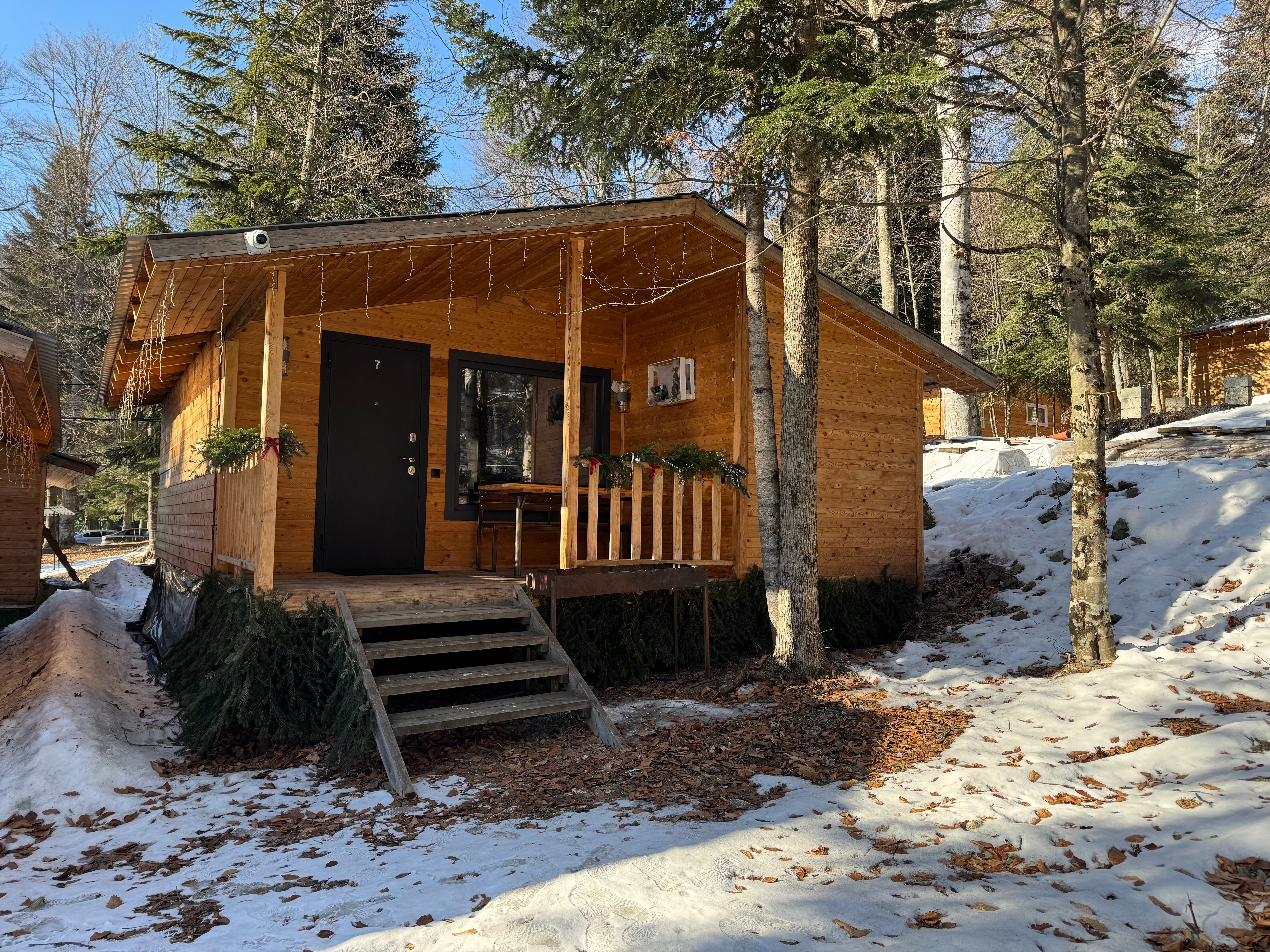 Фото Горная Мята