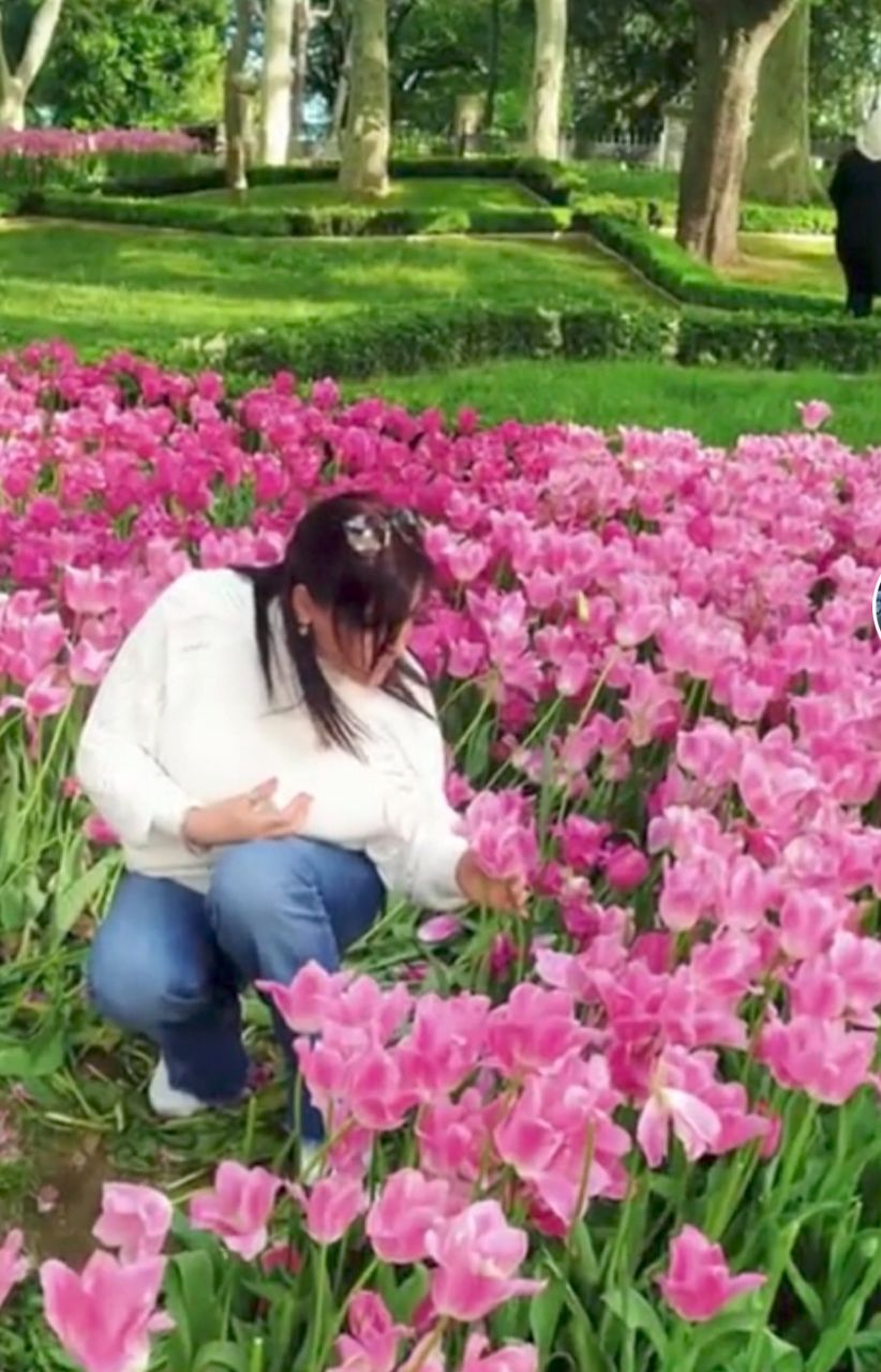 Фото Green apple Hotel