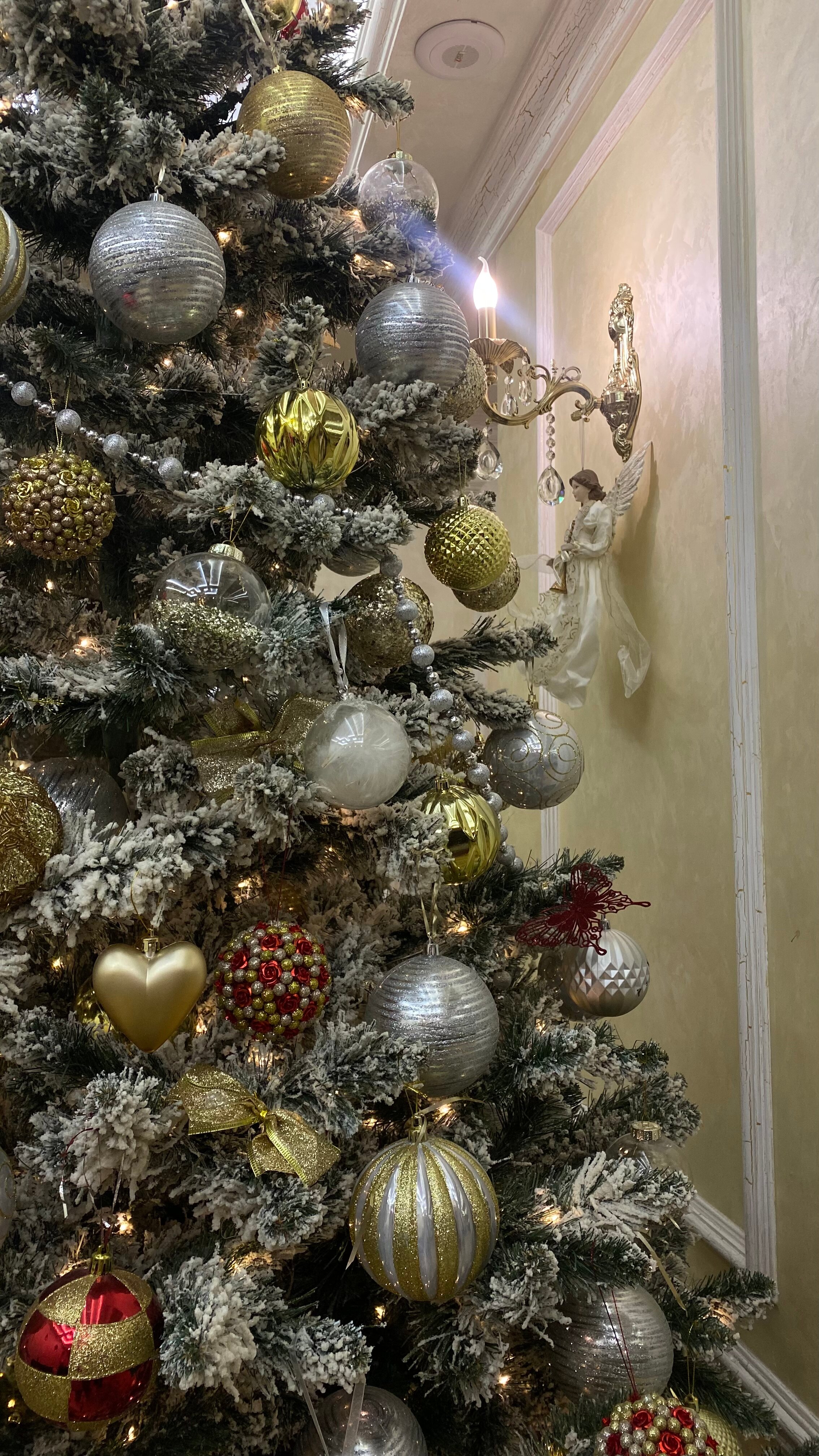 Фото 8 Авеню