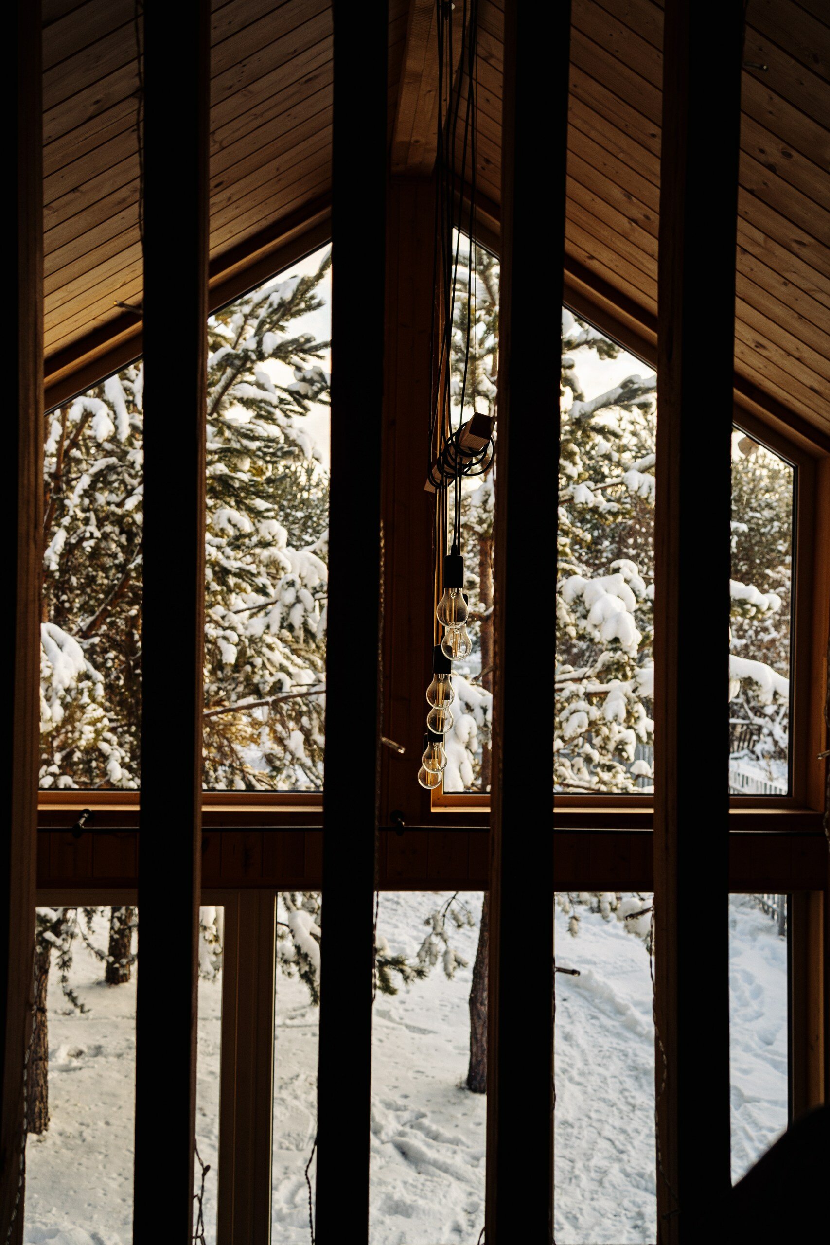 Фото Домик в сосновом бору