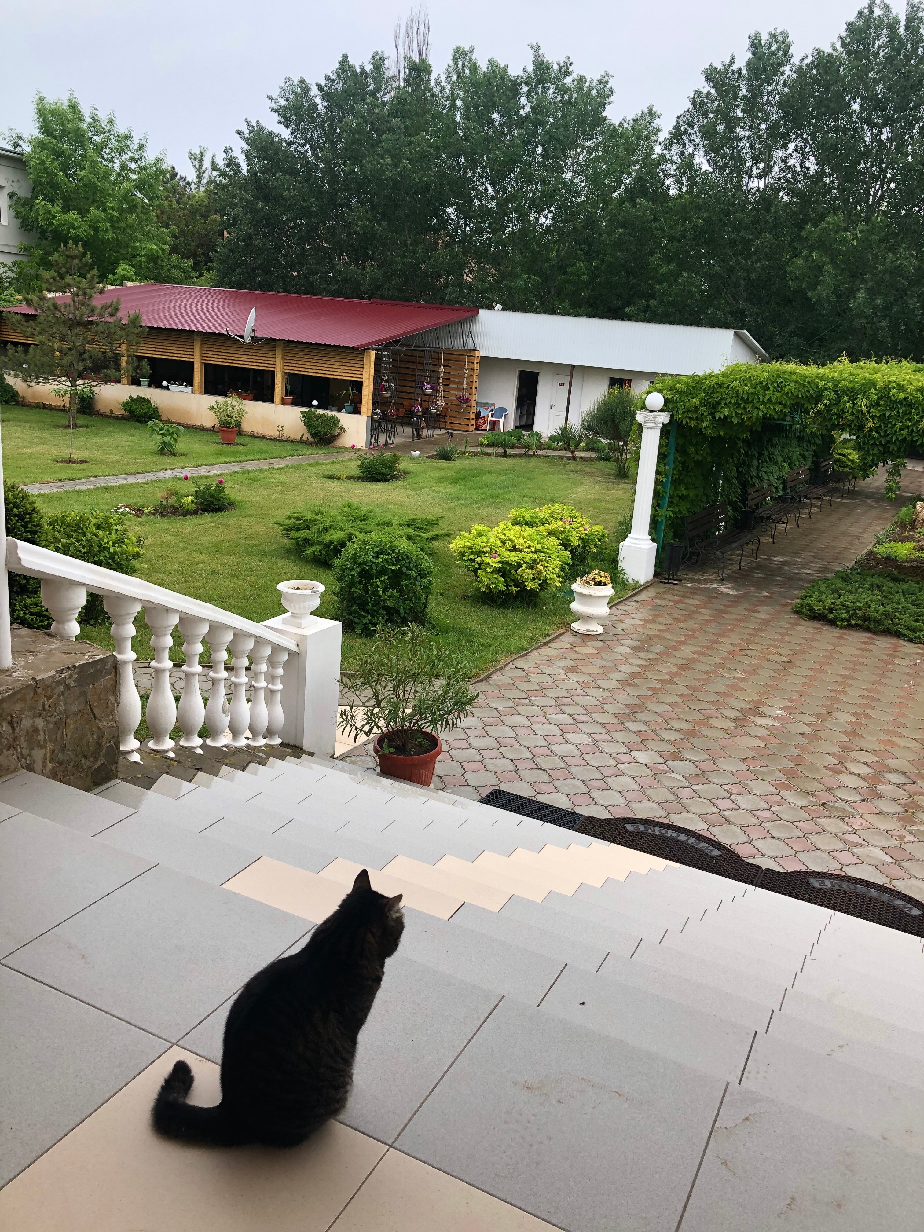 Фото У моря