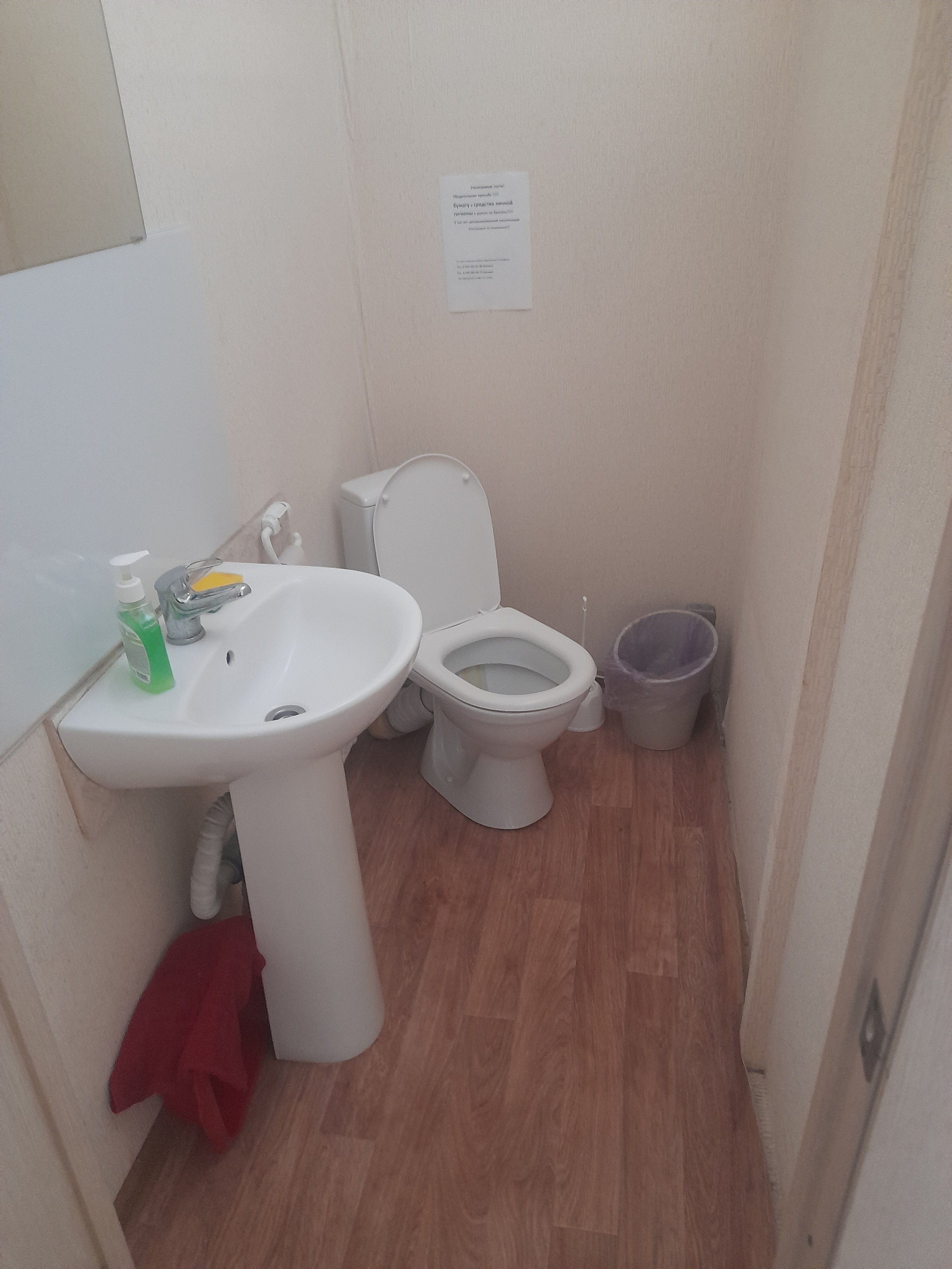 Фото Берёзка