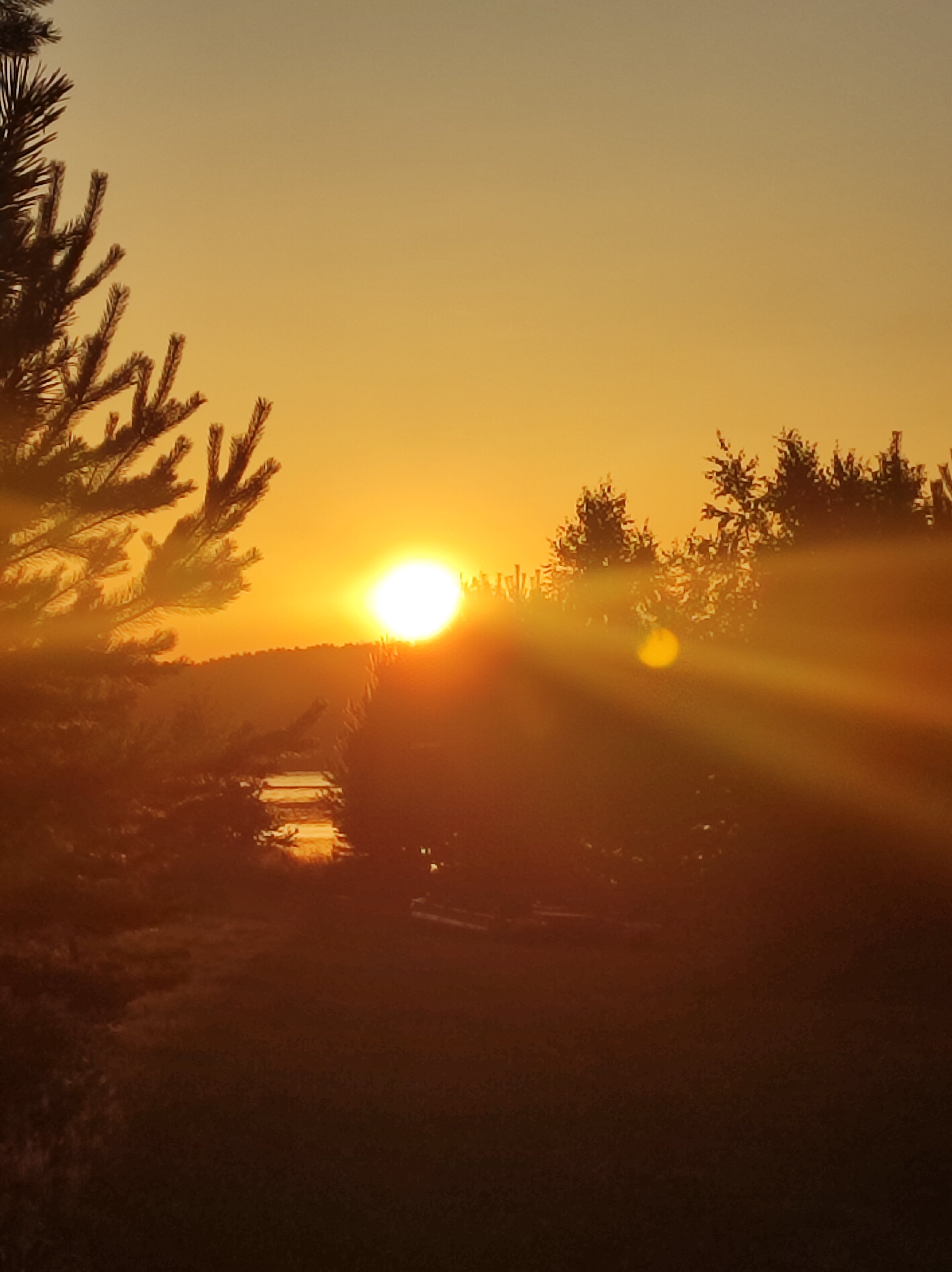 Фото Лестория