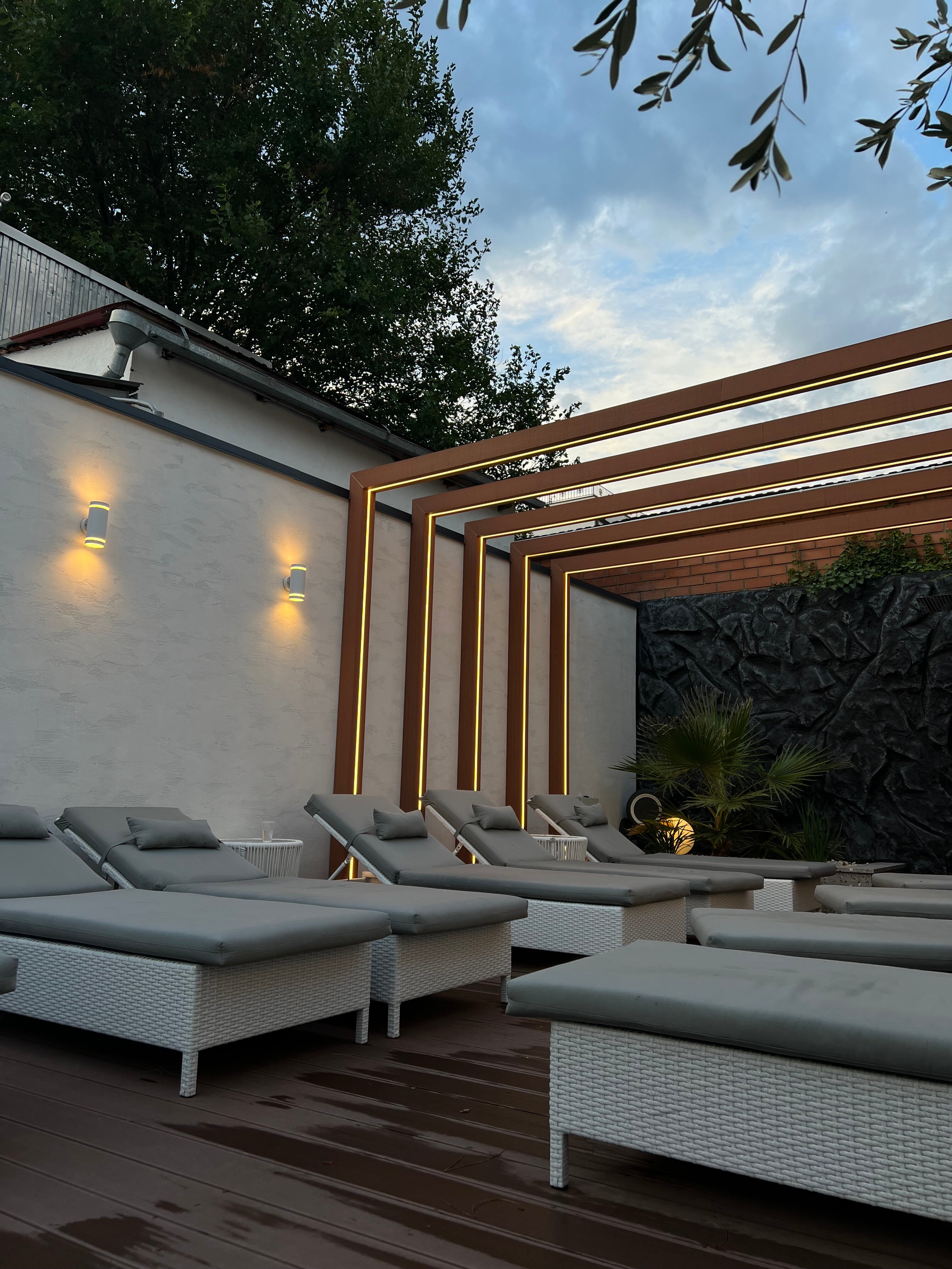 Фото Монарх