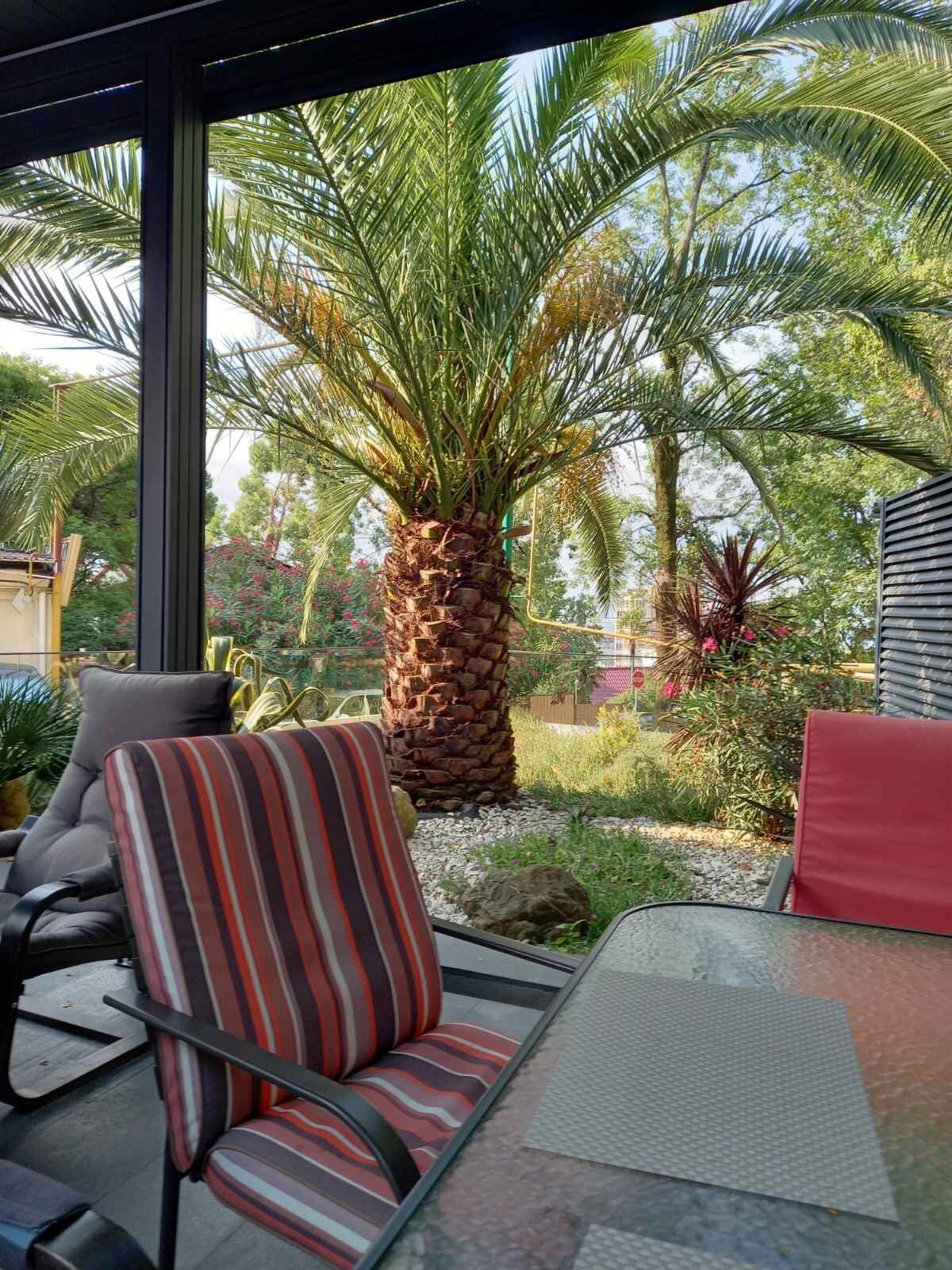 Фото Экодом Сочи