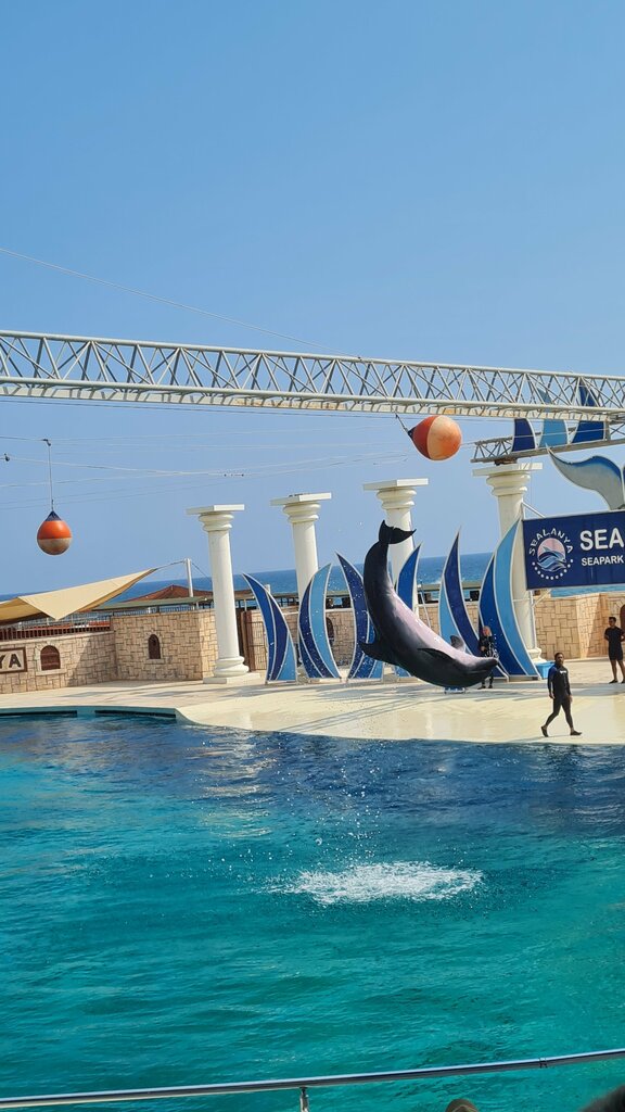 Water park Sealanya Dolphinpark & Seapark, Alanya, photo