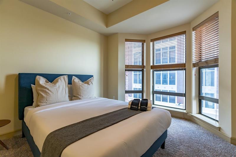 Фото The Luxury Suites of Houston