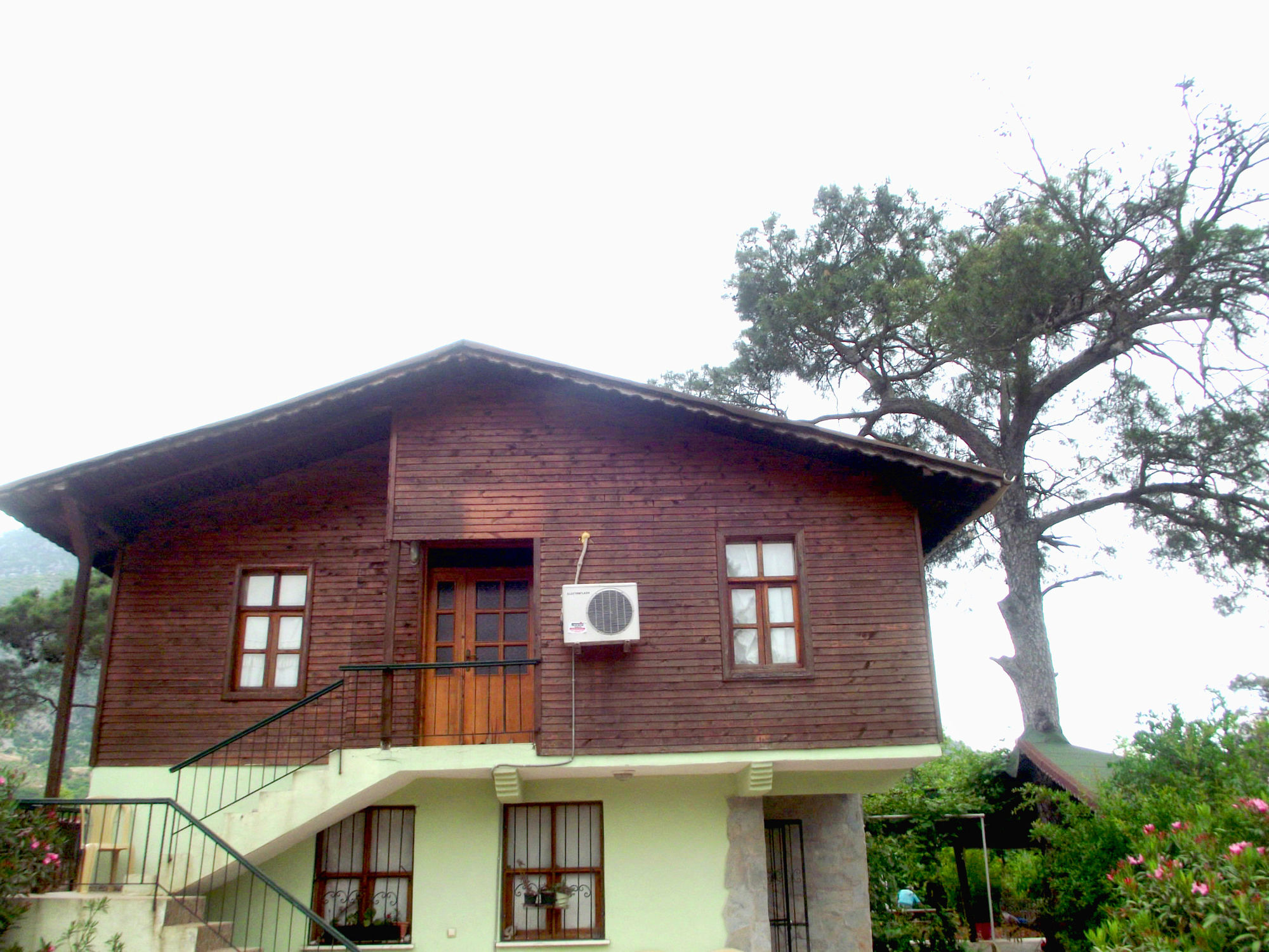 Фото Koala Bungalows