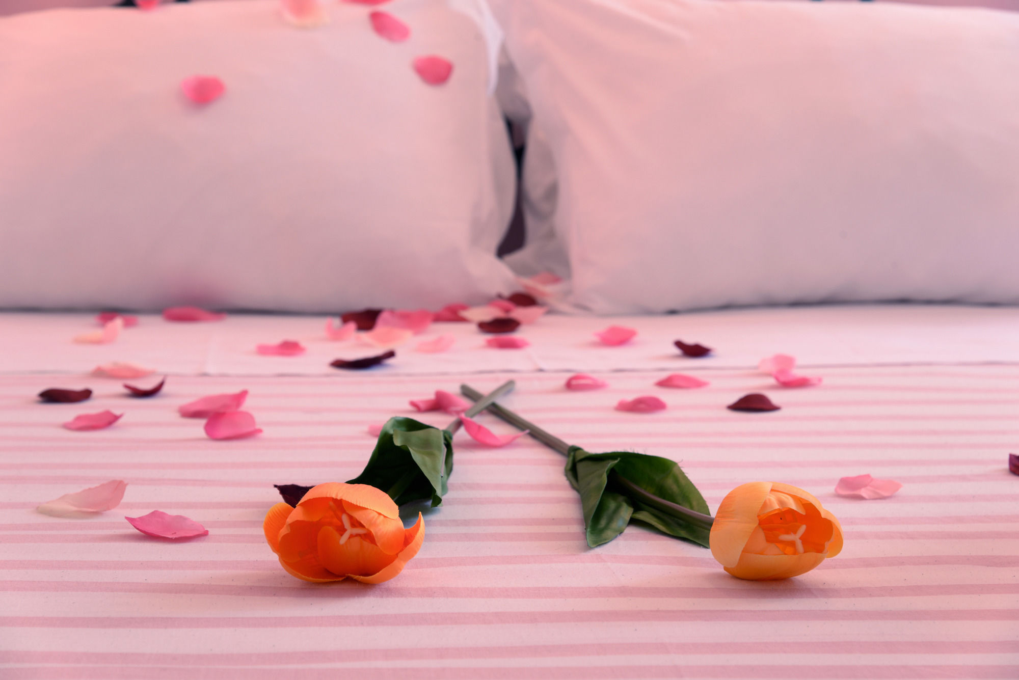 Фото In the Center Guesthouse