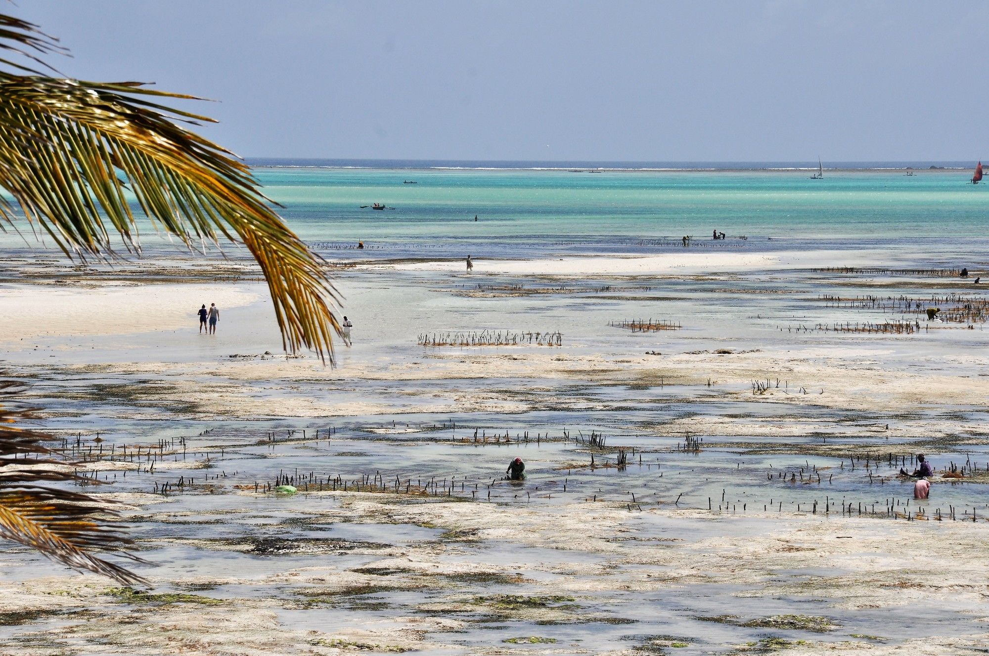 Фото Kimte Beach Lodge