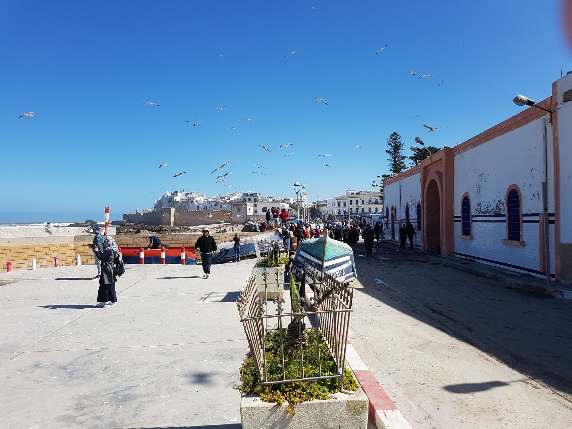 Фото Riad Sidi Magdoul