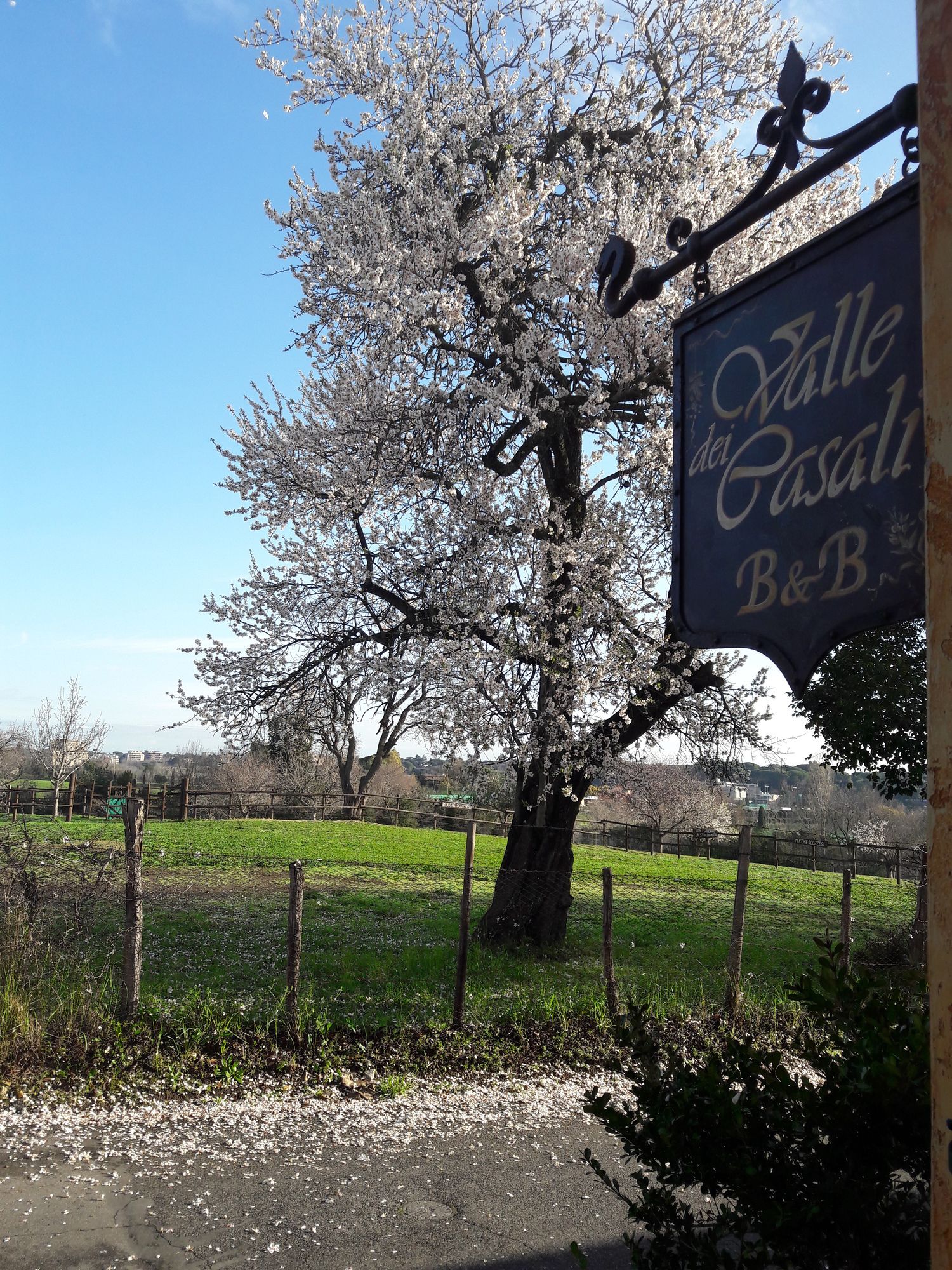 Фото La Valle dei Casali