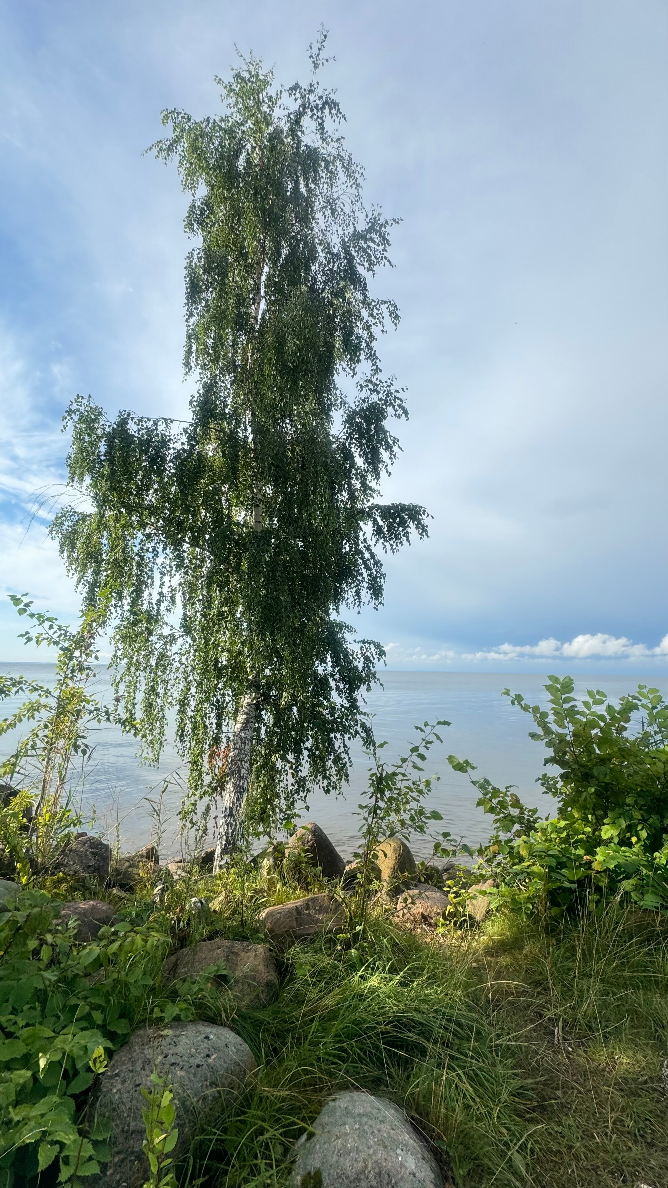 Фото Тихая гавань