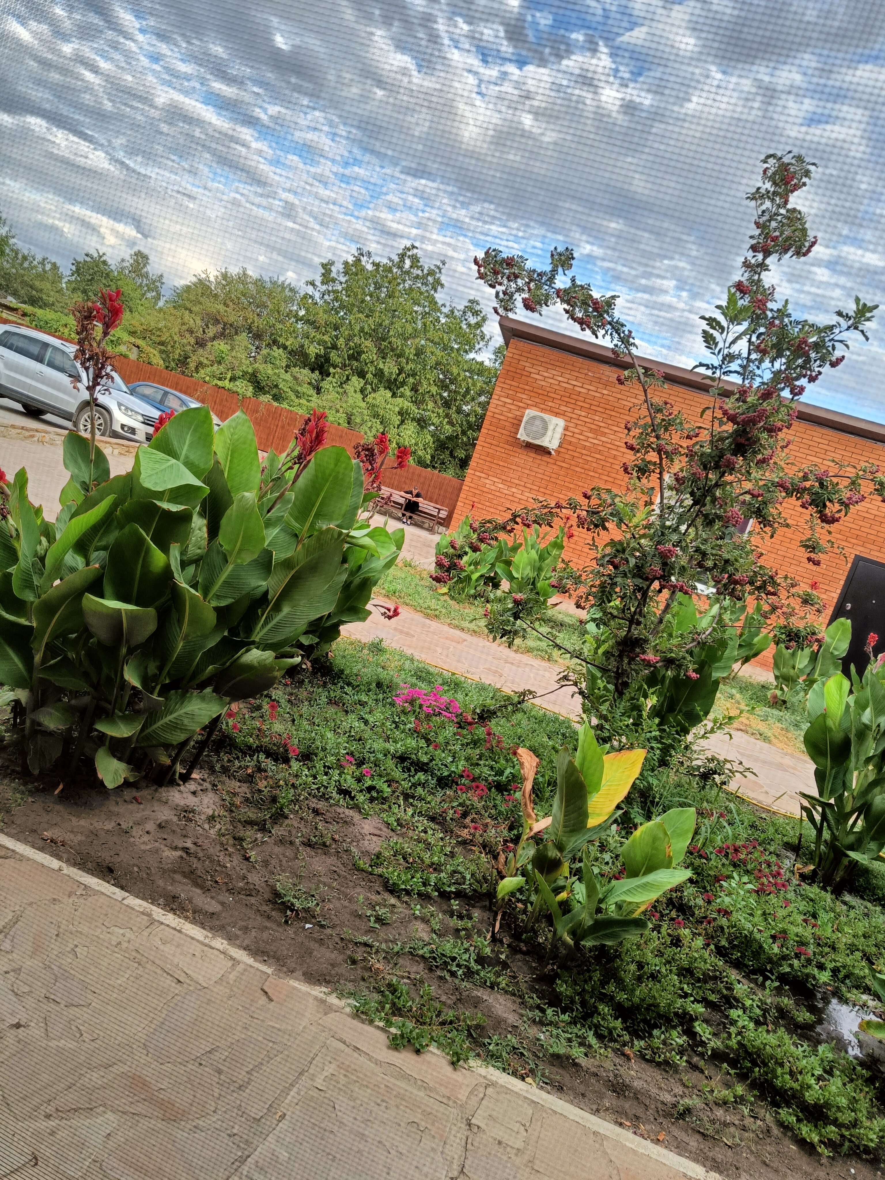 Фото Тихий Дон