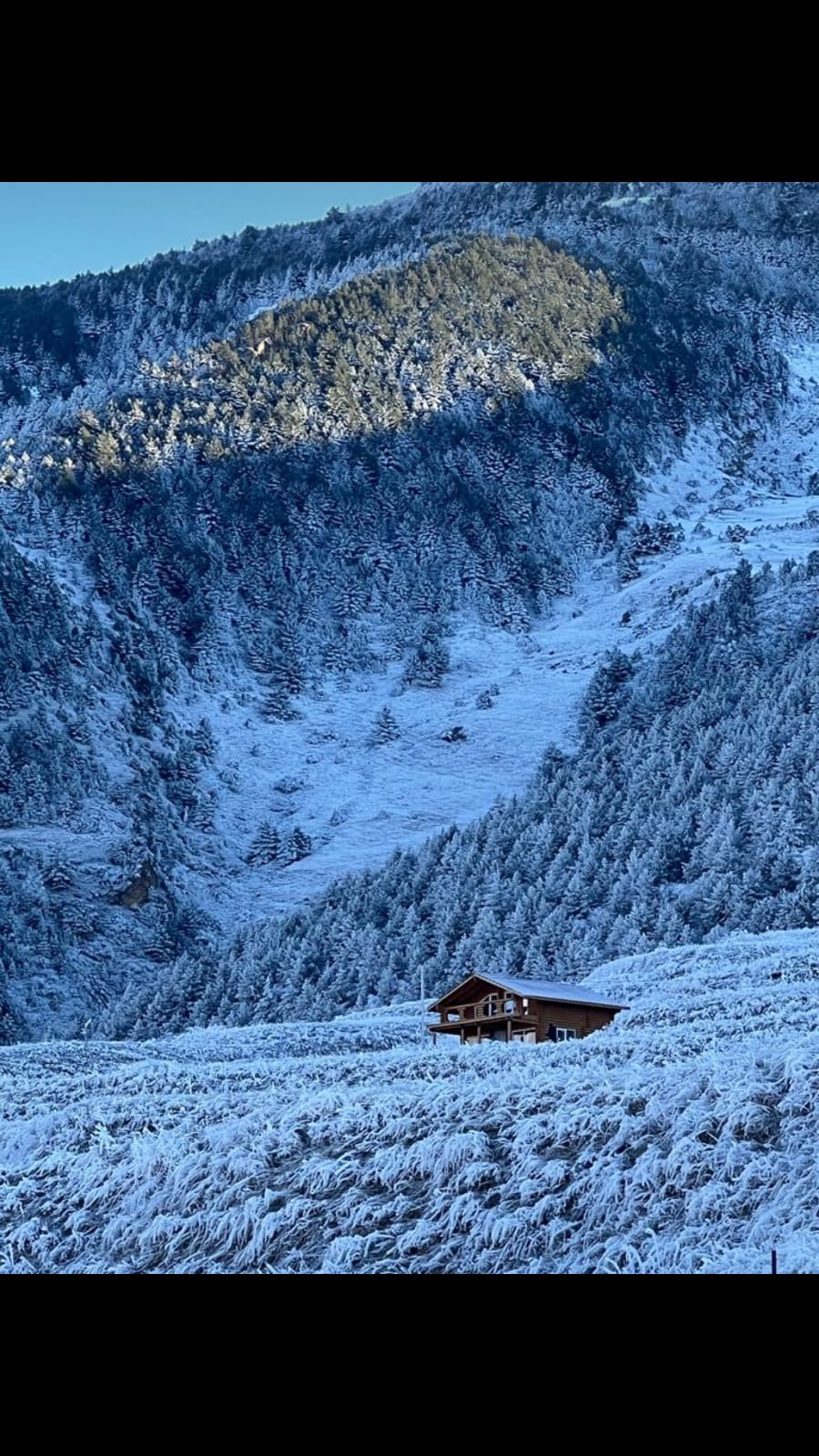 Фото Орлиное гнездо