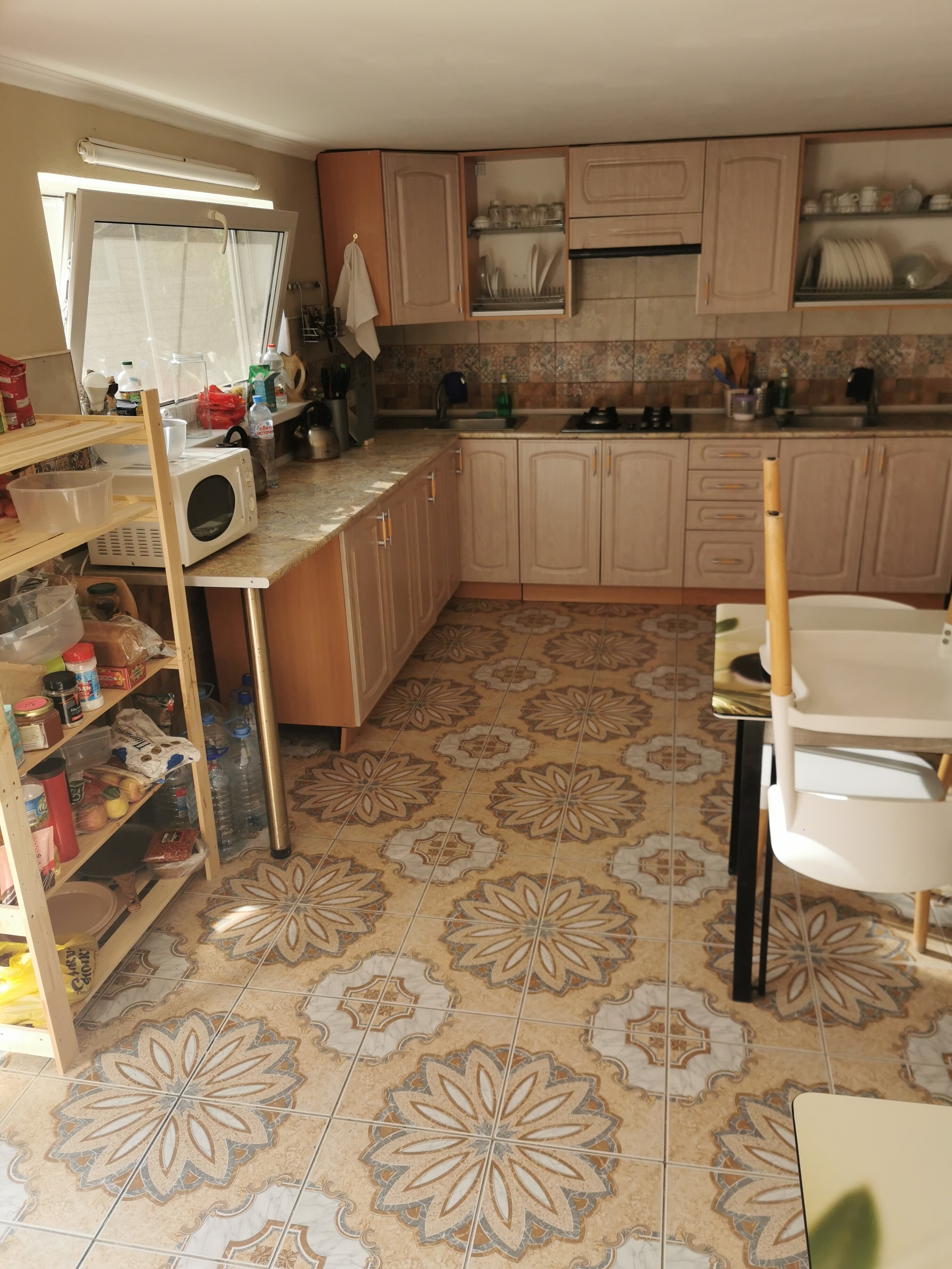 Фото Дельфиния