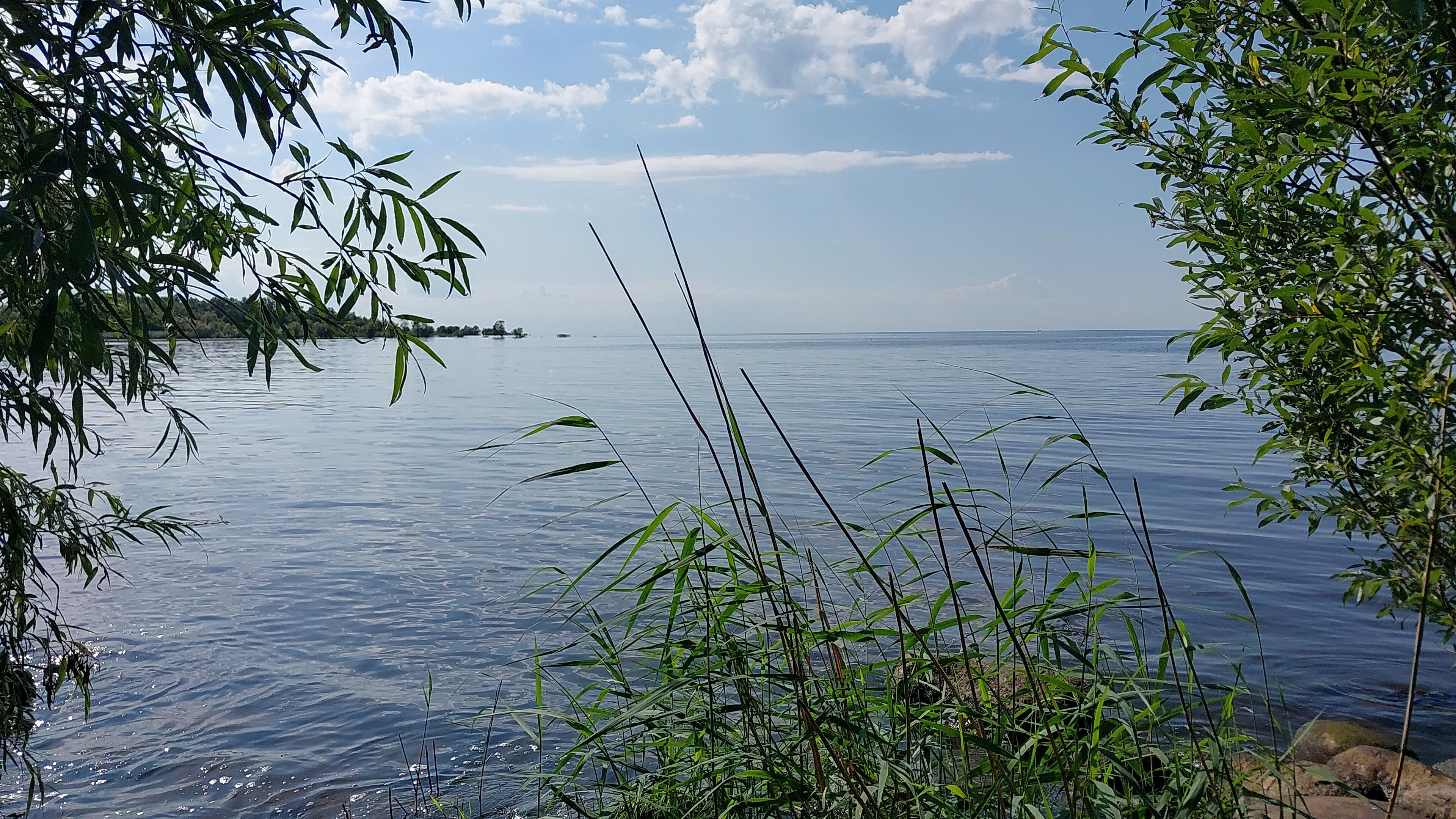 Фото Заостровье