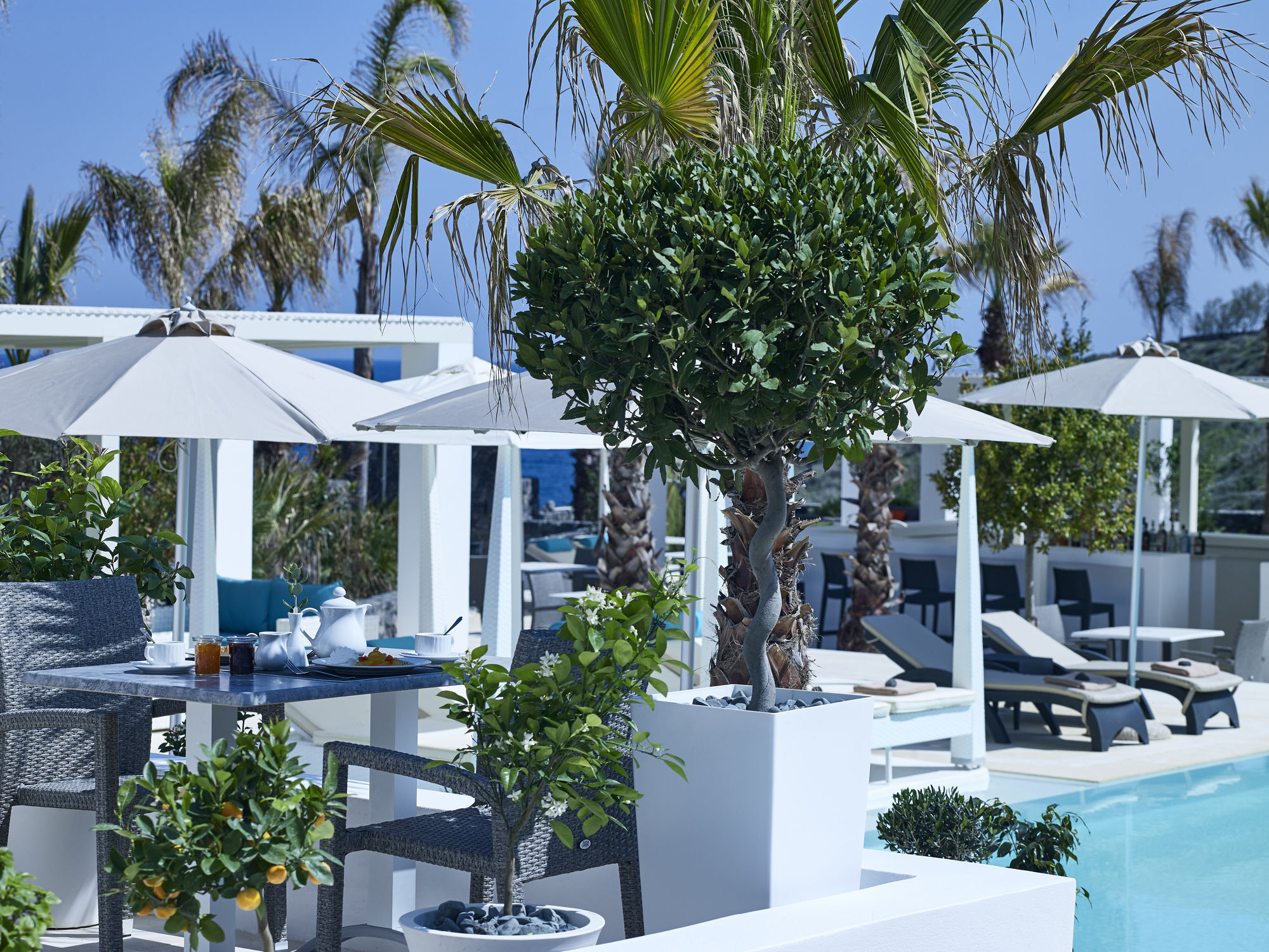 Фото Aurora Luxury Suites