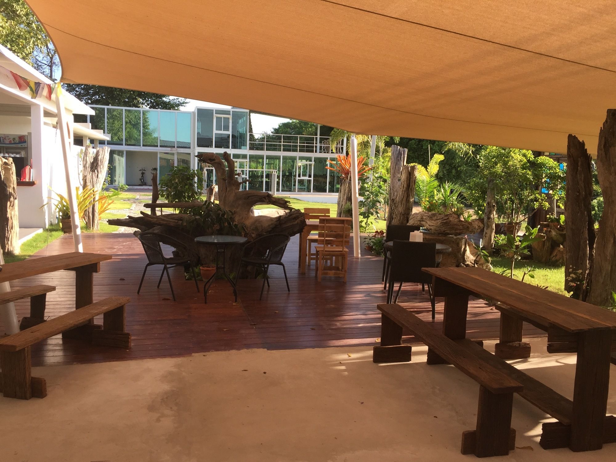 Фото Tree Roots Retreat