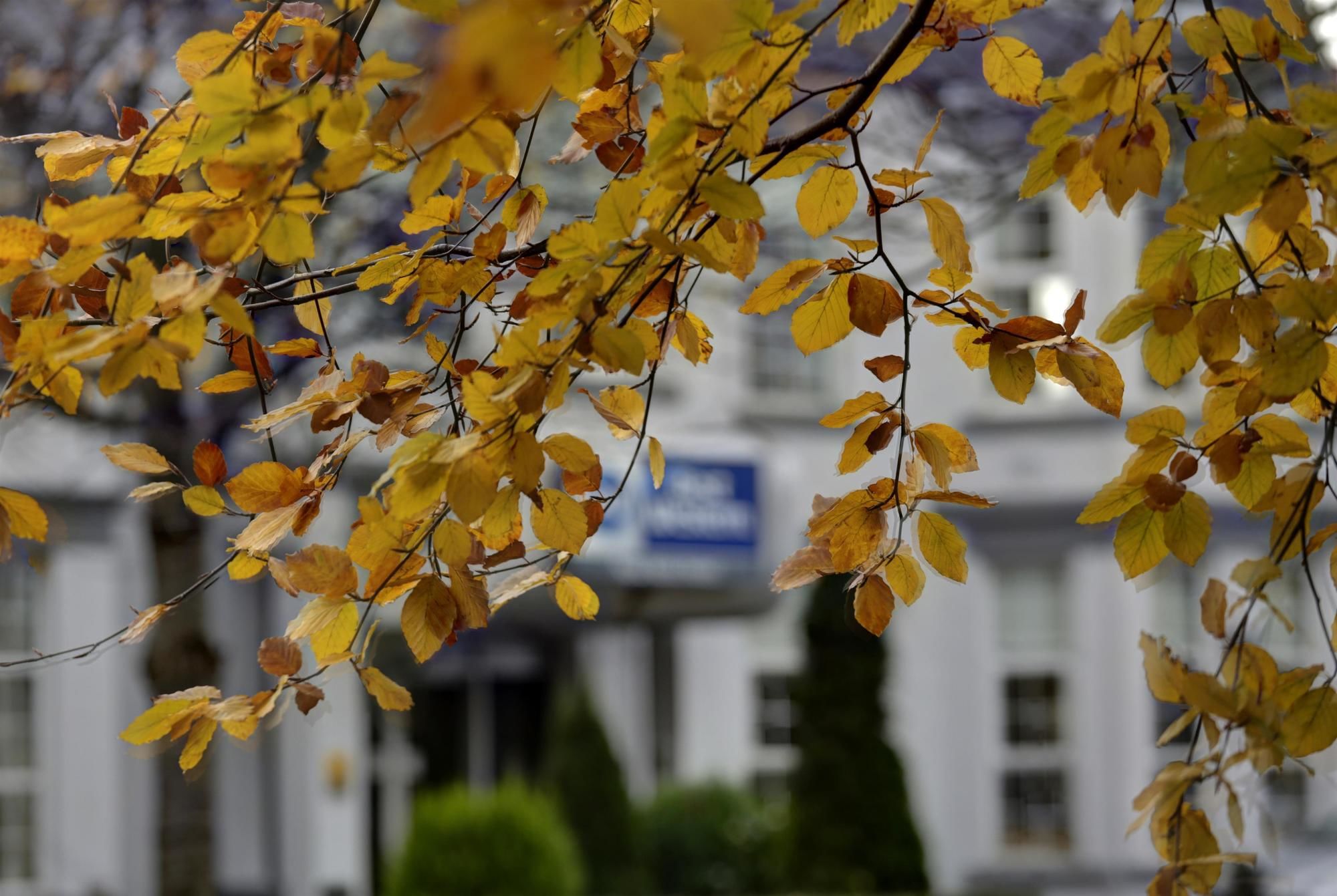 Фото Best Western New Kent Hotel