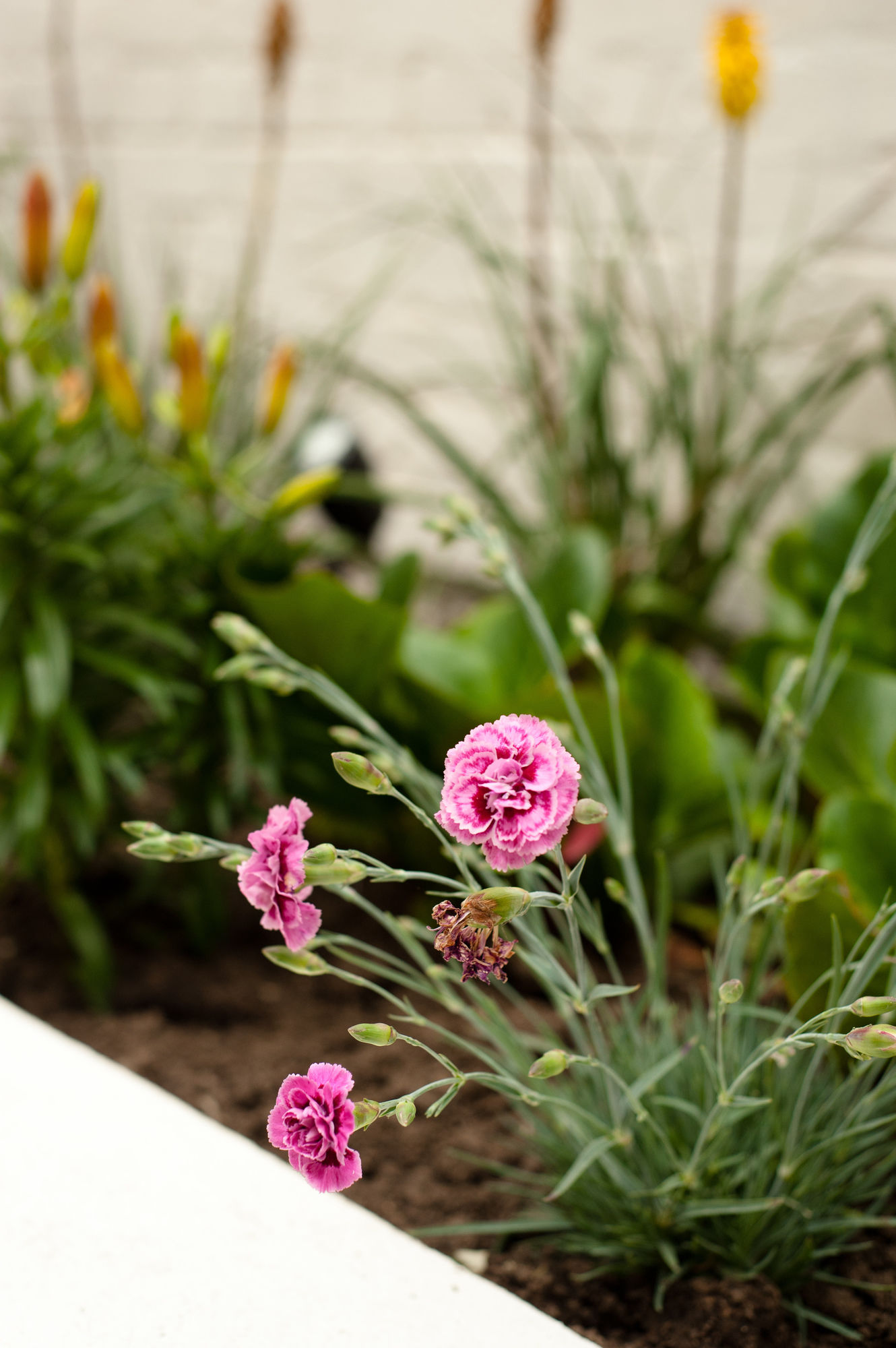 Фото Safestay London Elephant & Castle