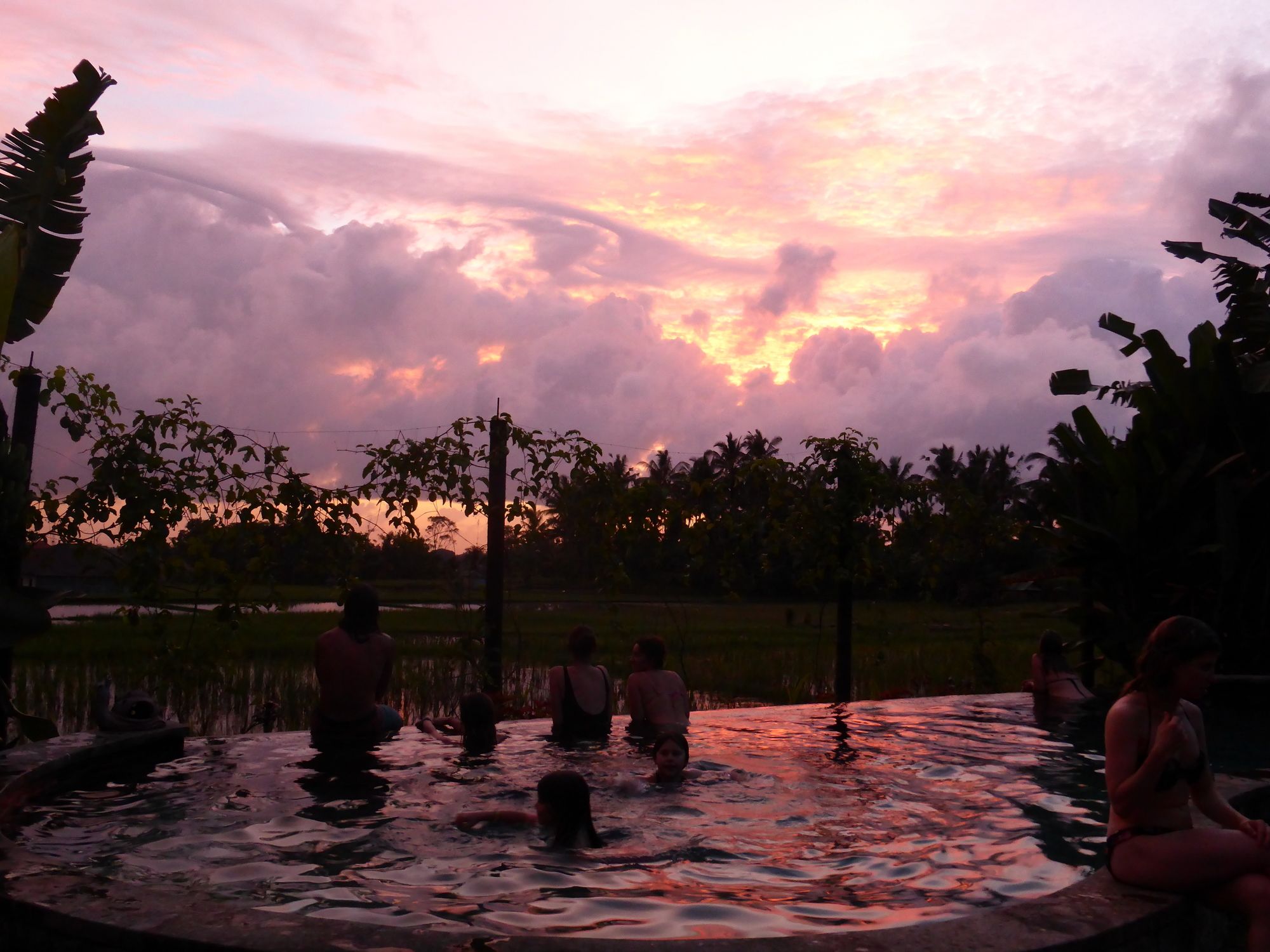 Фото Dragonfly Village