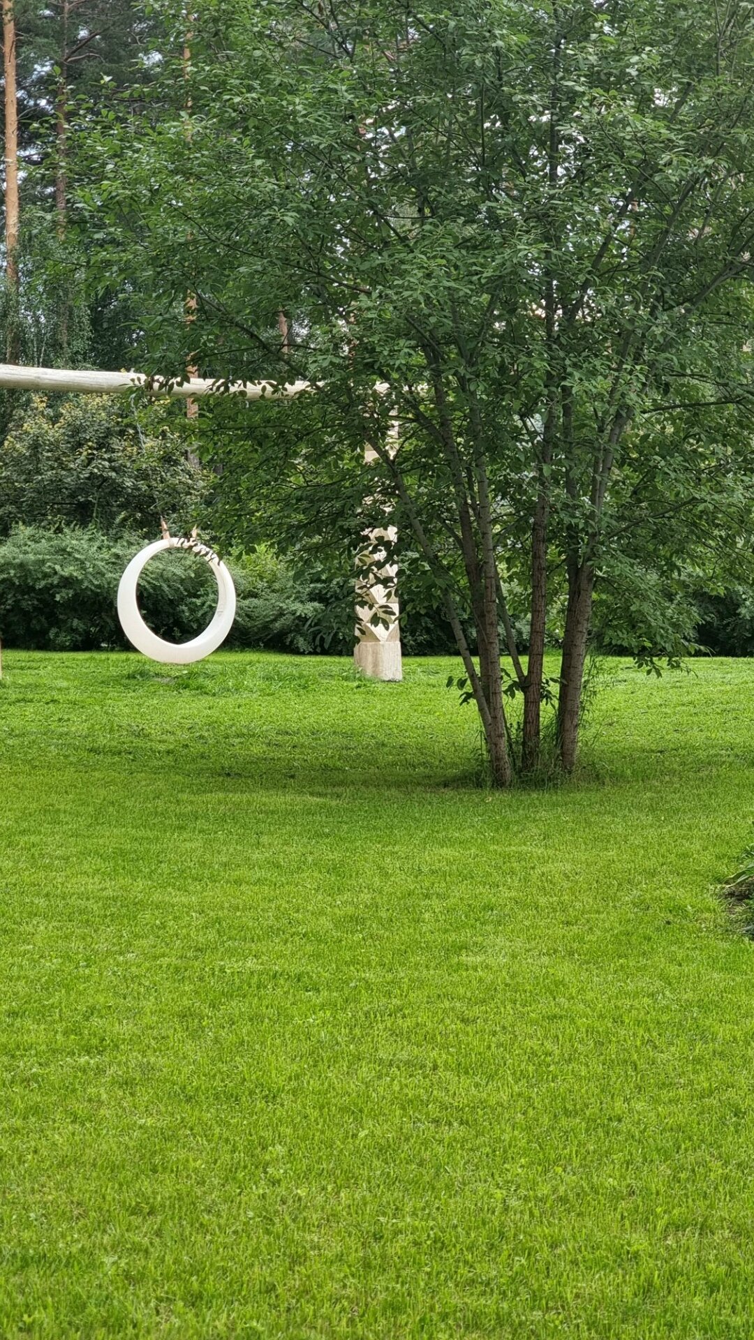 Фото Лесная