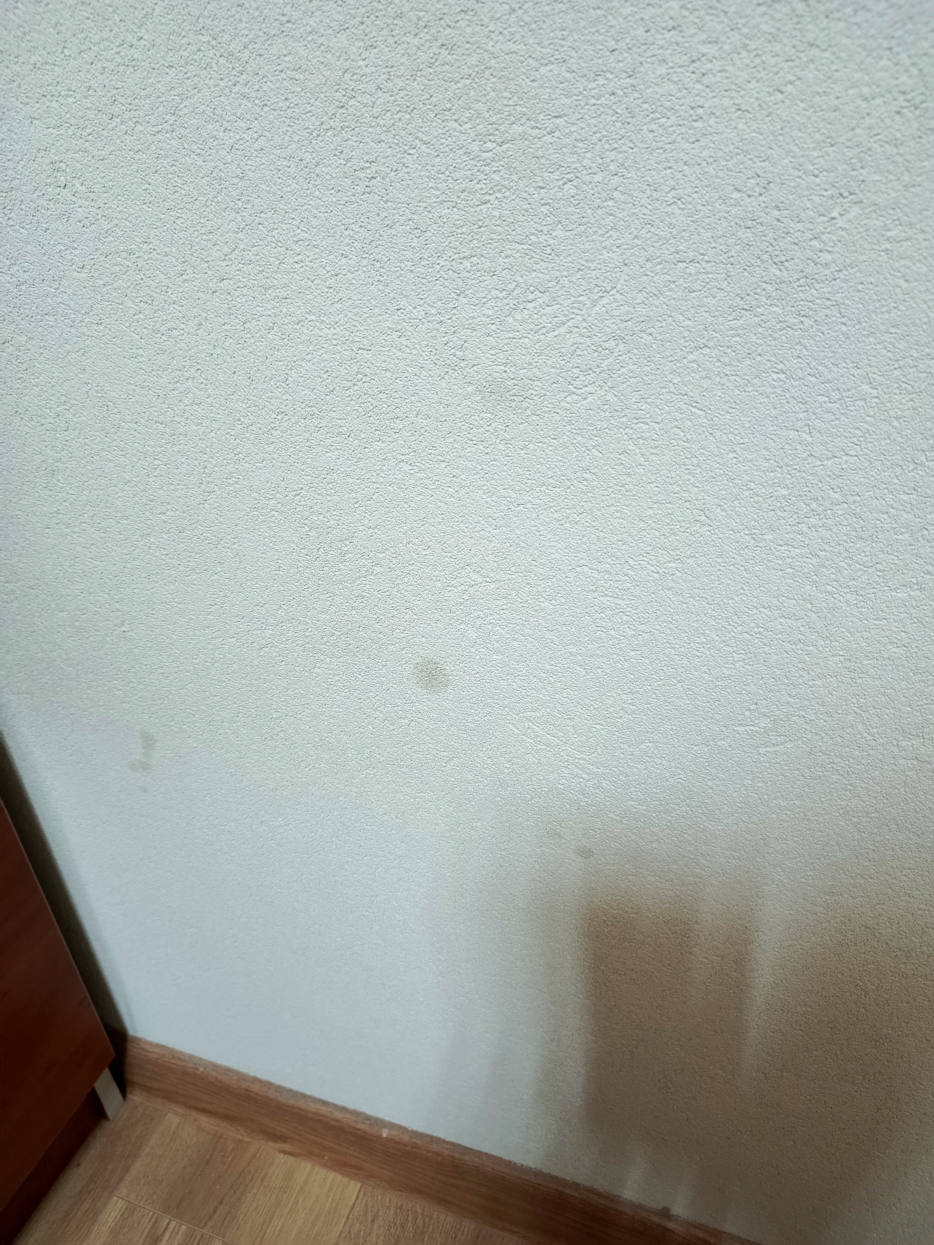 Фото Порт 55