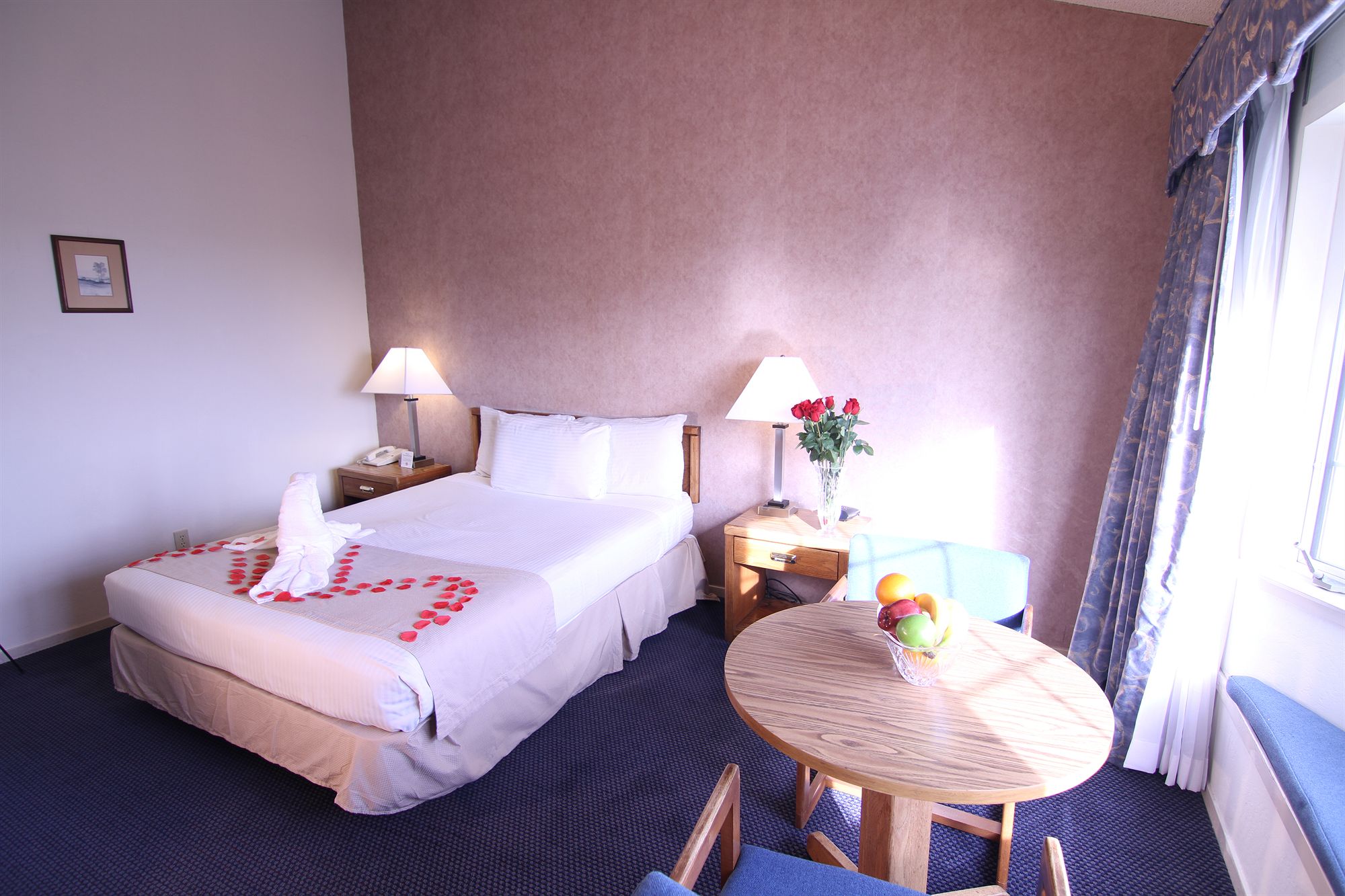 Фото Harbor View Inn