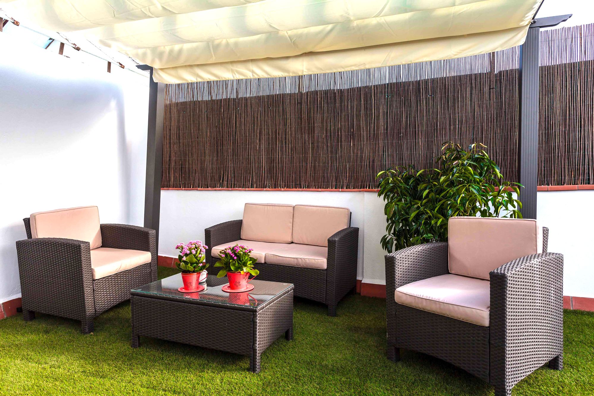 Фото Apartamentos Radas