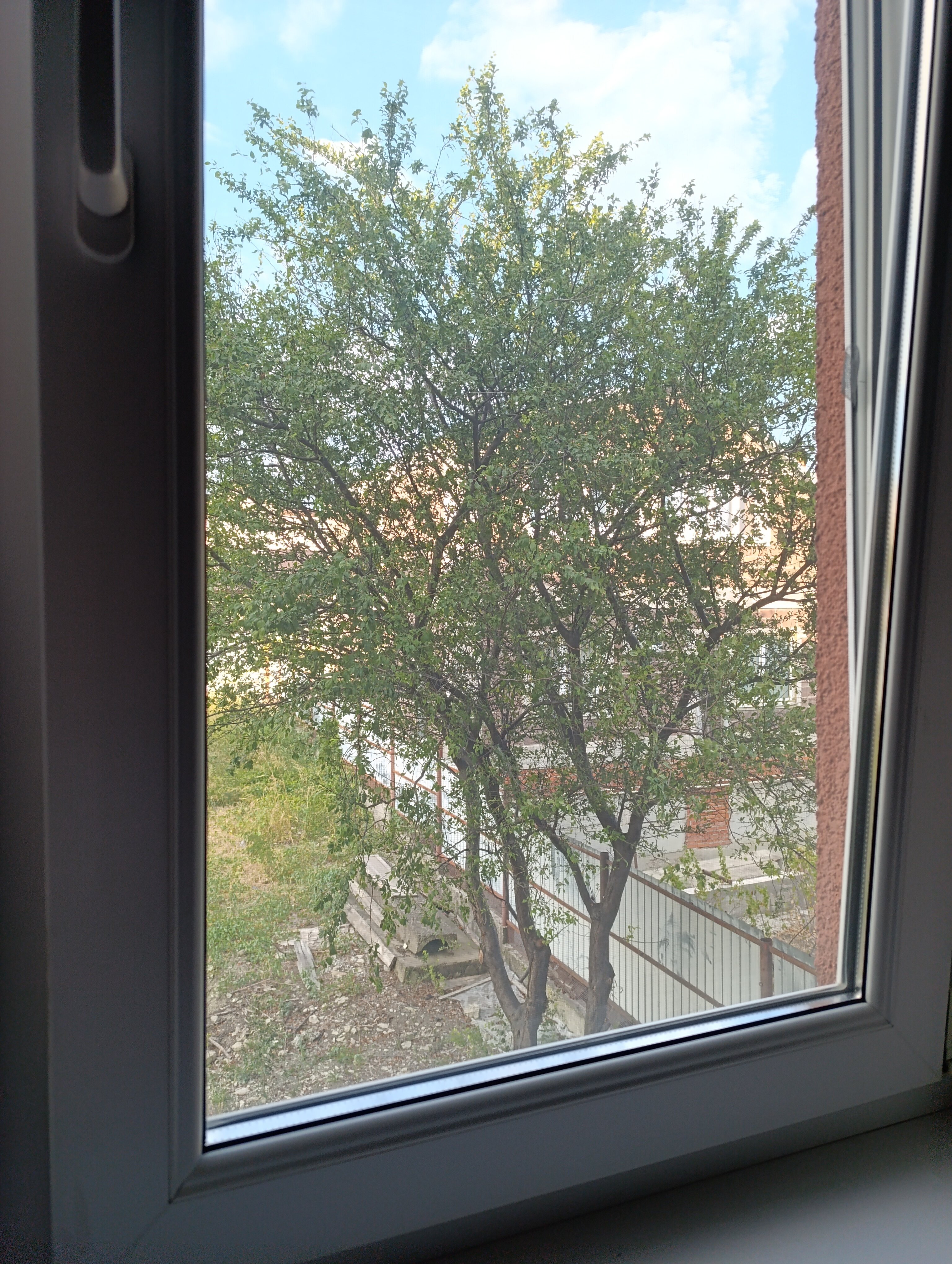 Фото Софианна