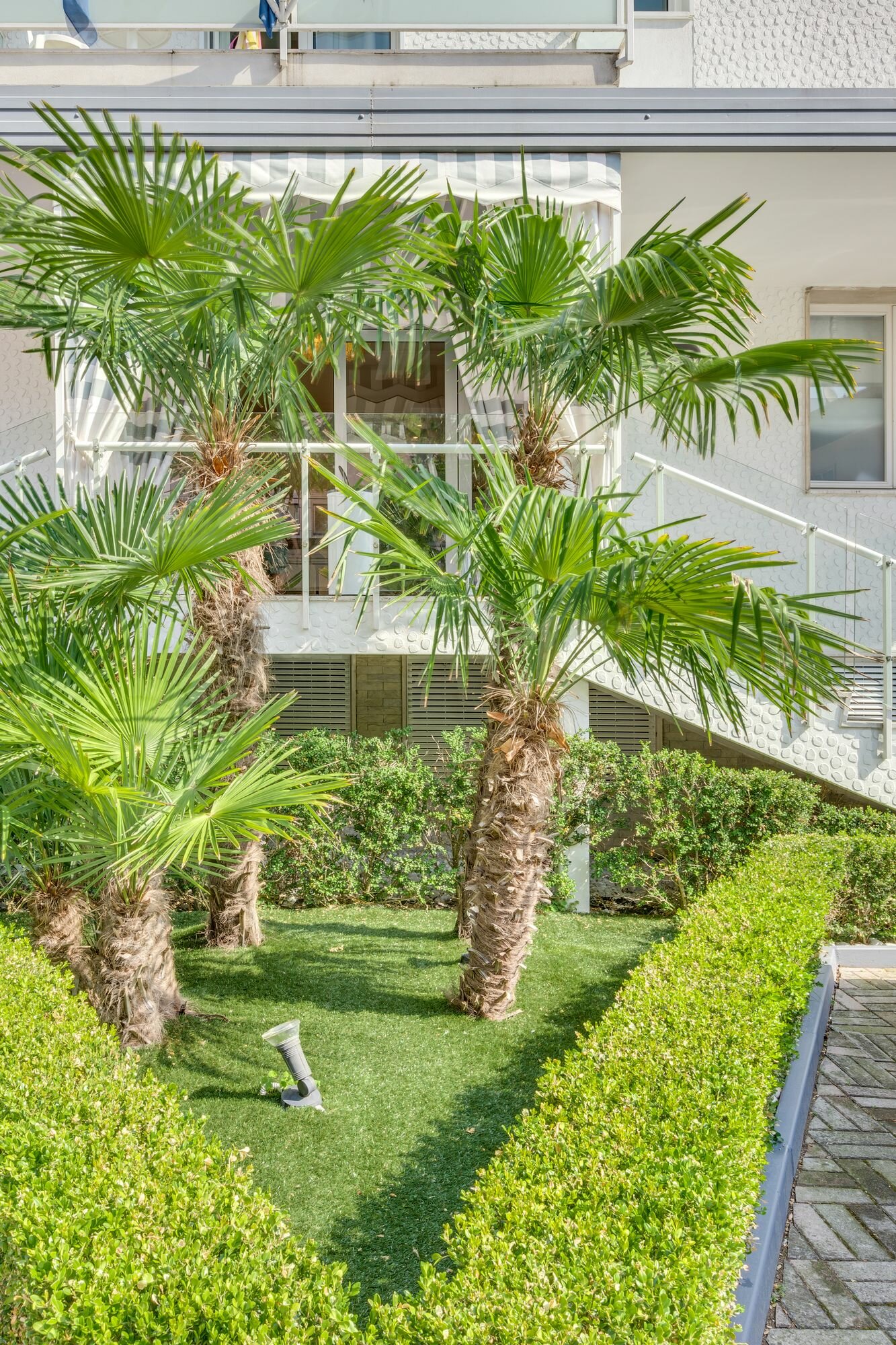 Фото Hotel delle Rose