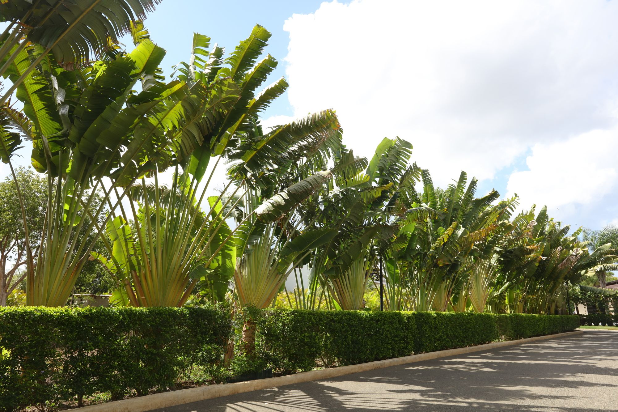 Фото Sybaris Residences